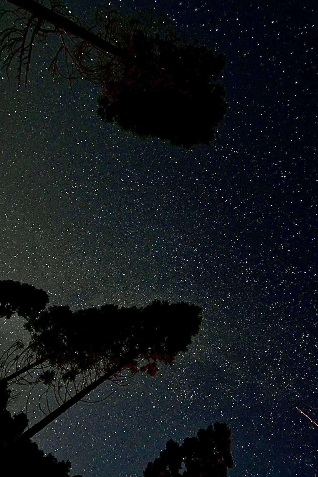 星空デッキから②(一眼レフ撮影)