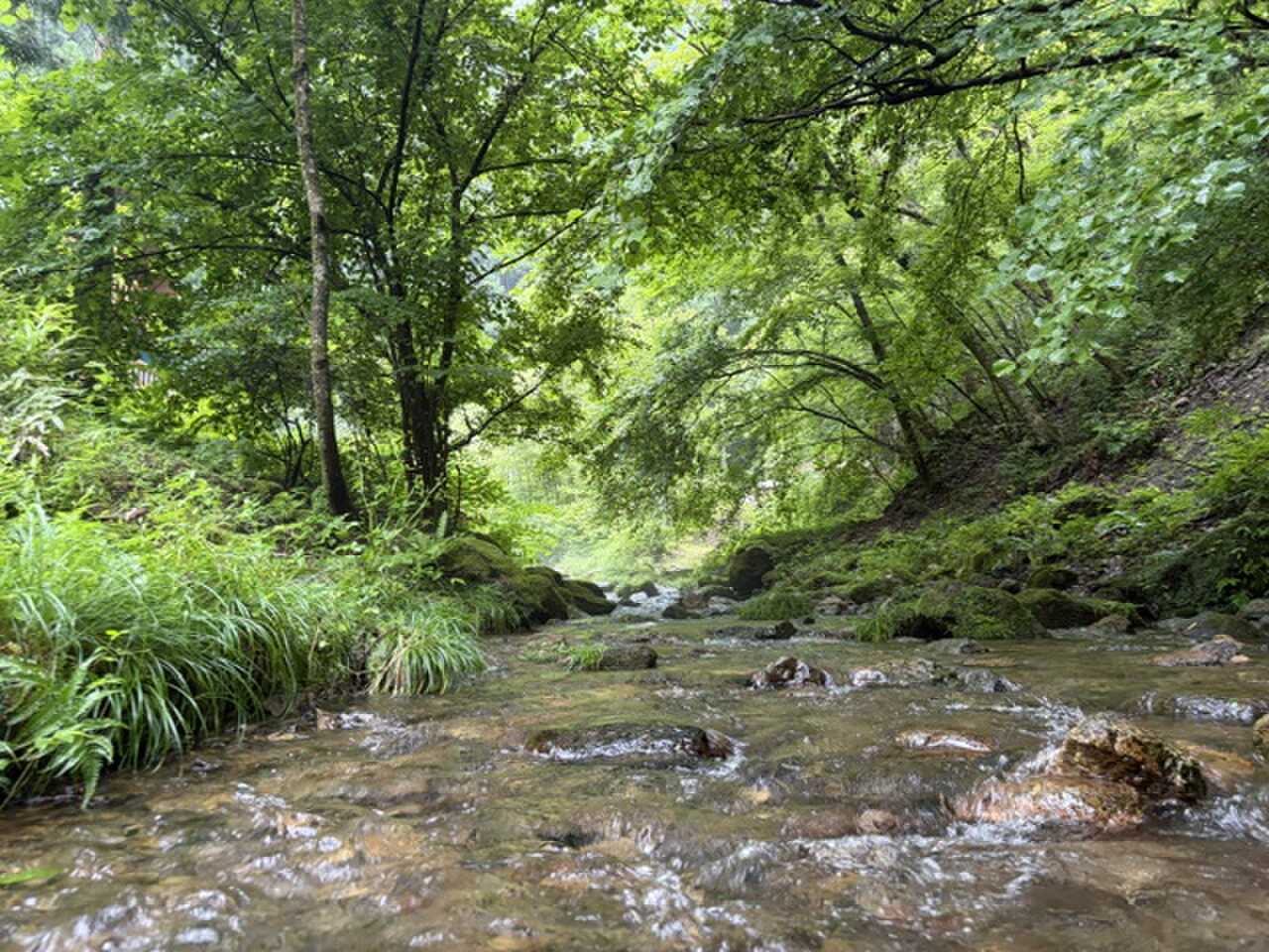 安心して遊べる気持ちの良い川でした。