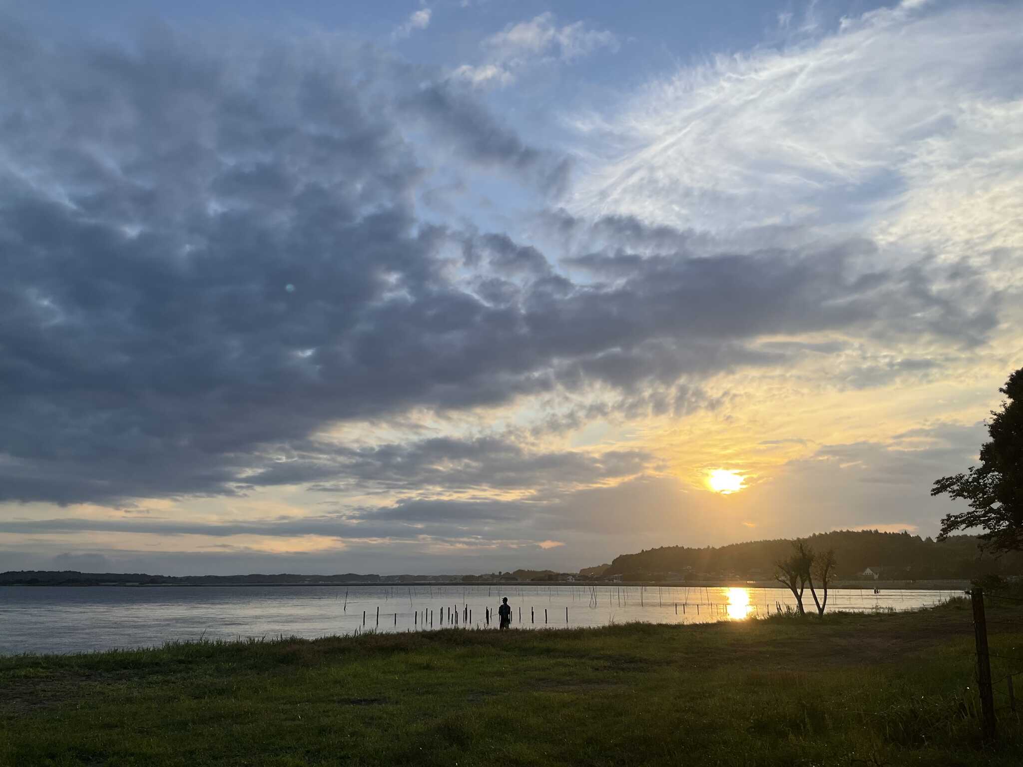 夕日がきれい