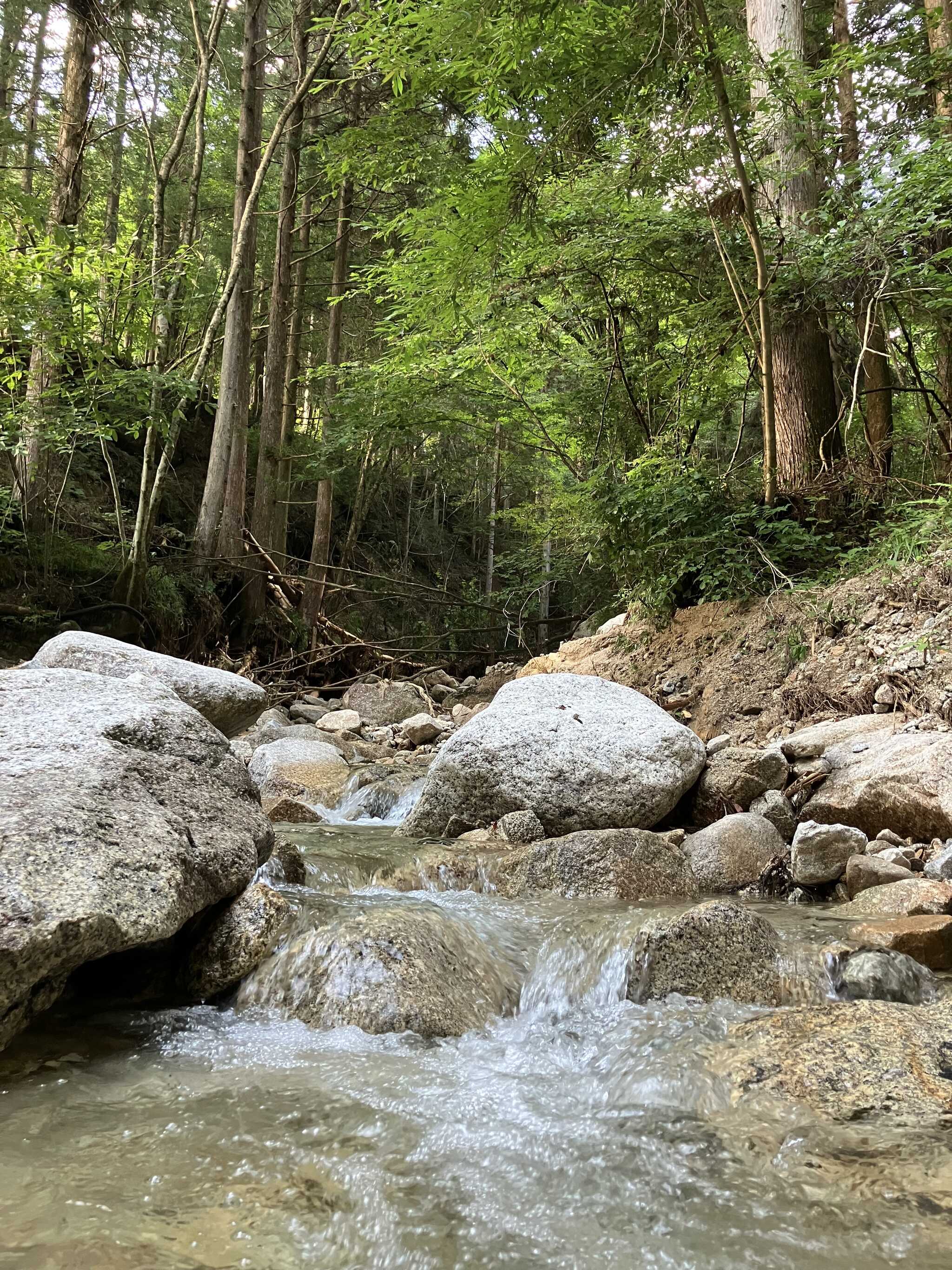 ええ感じの小川