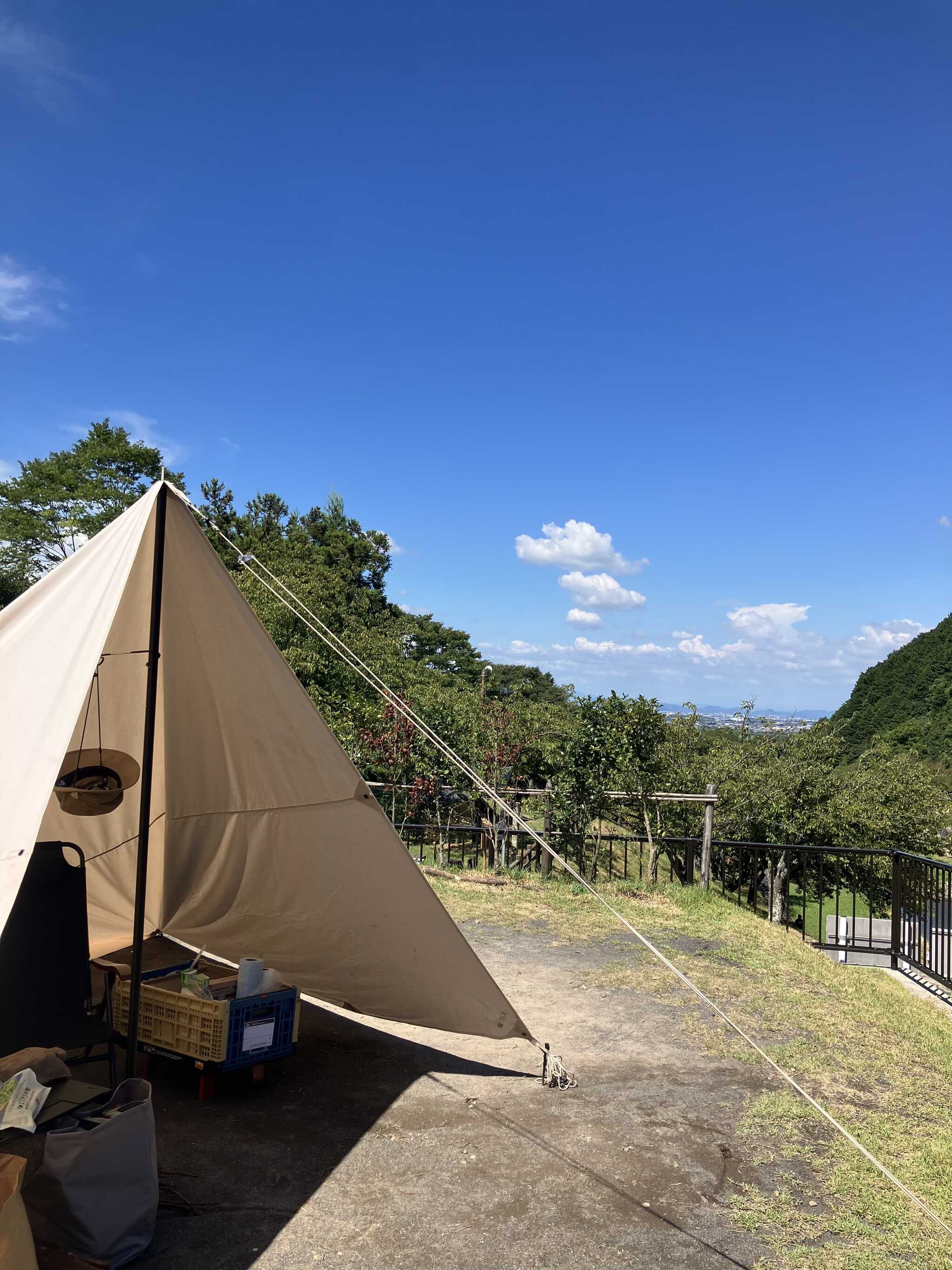 綺麗な青