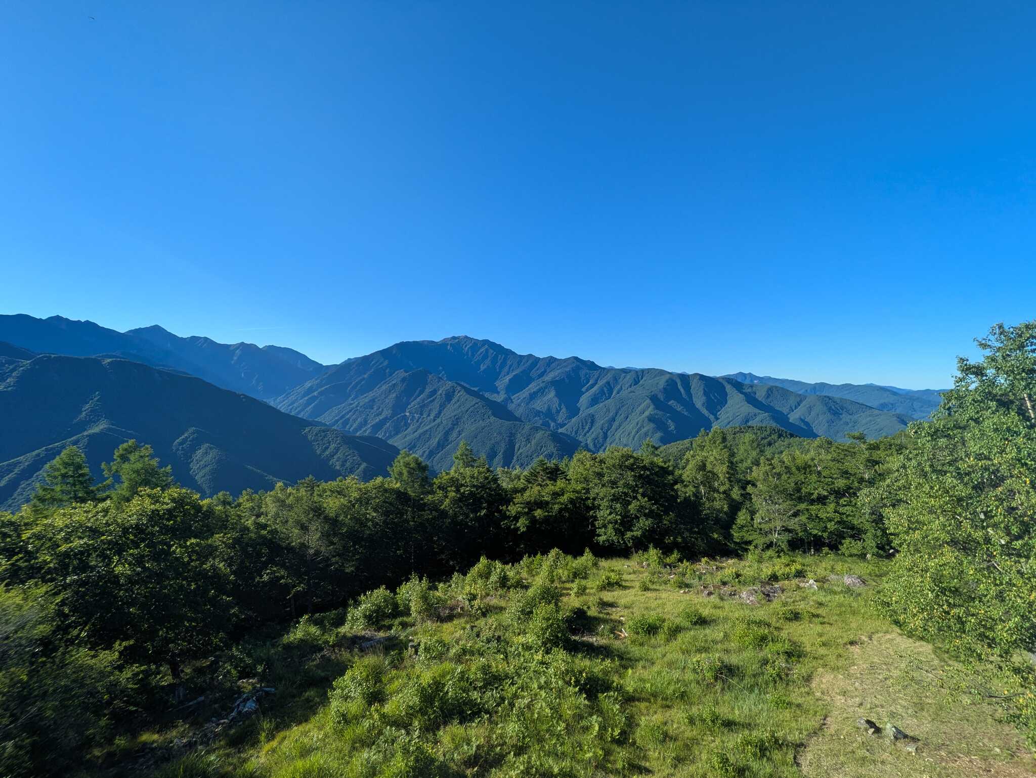 展望台からの景色