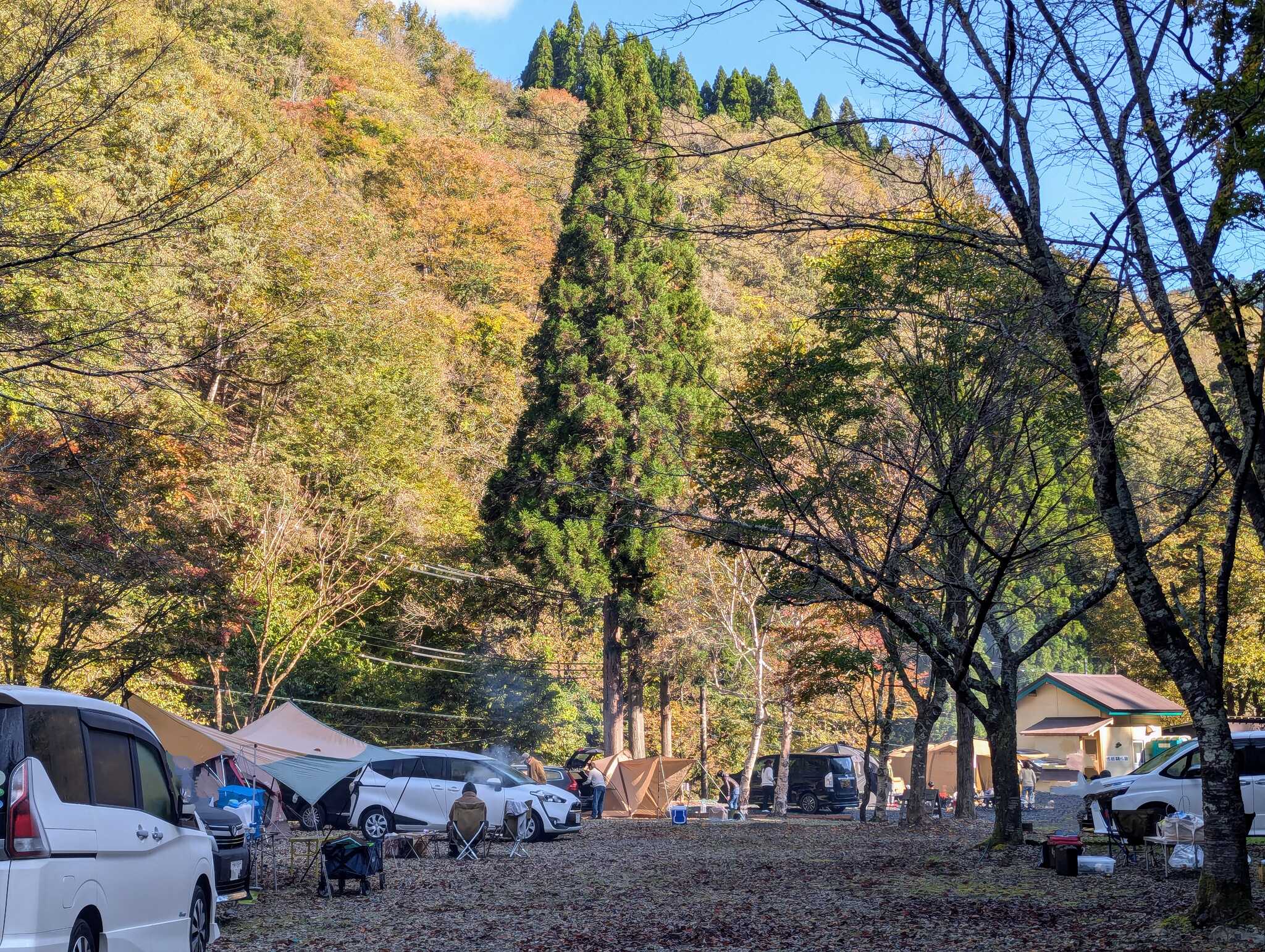 サイトからの風景