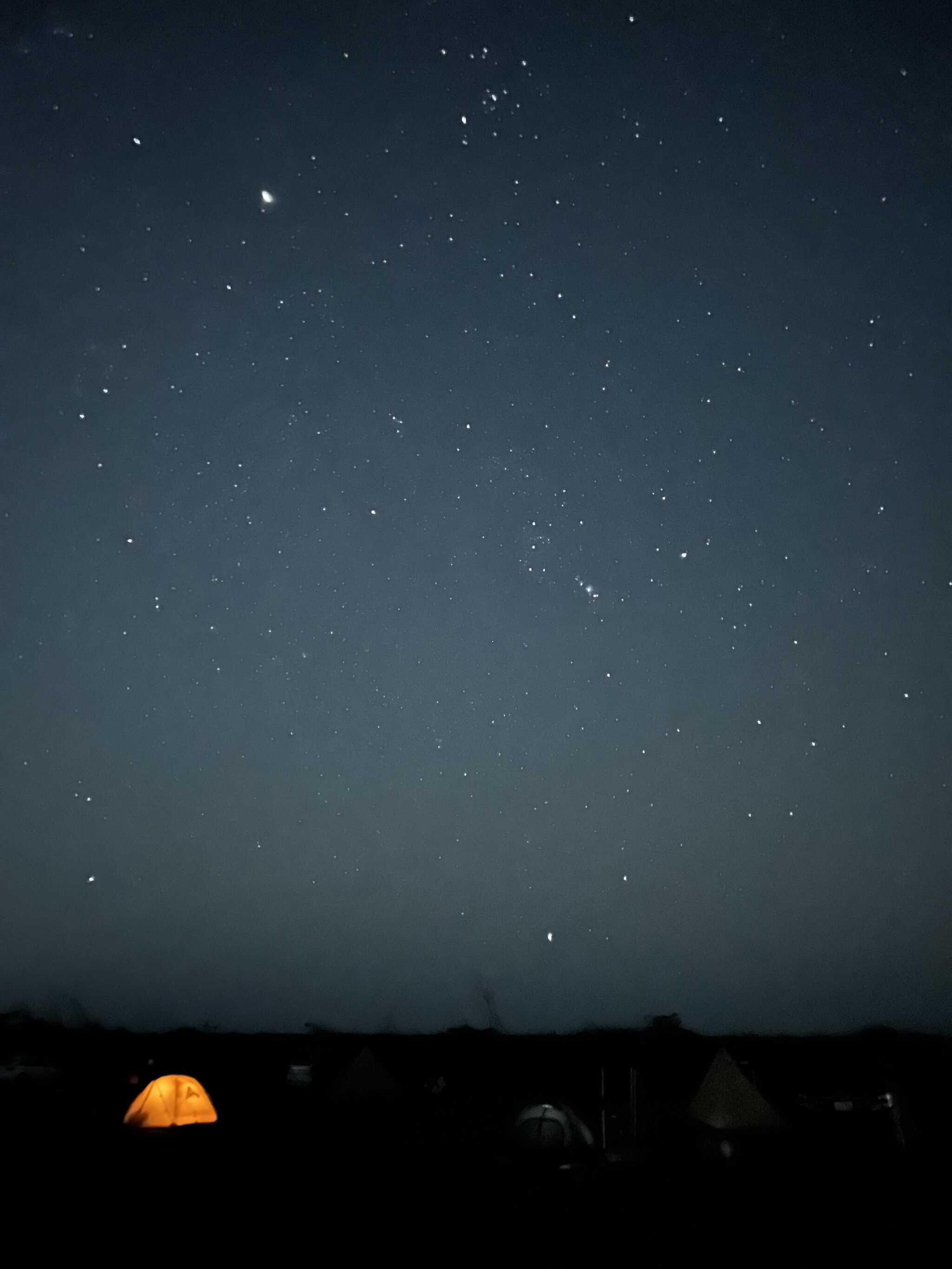 夜の星