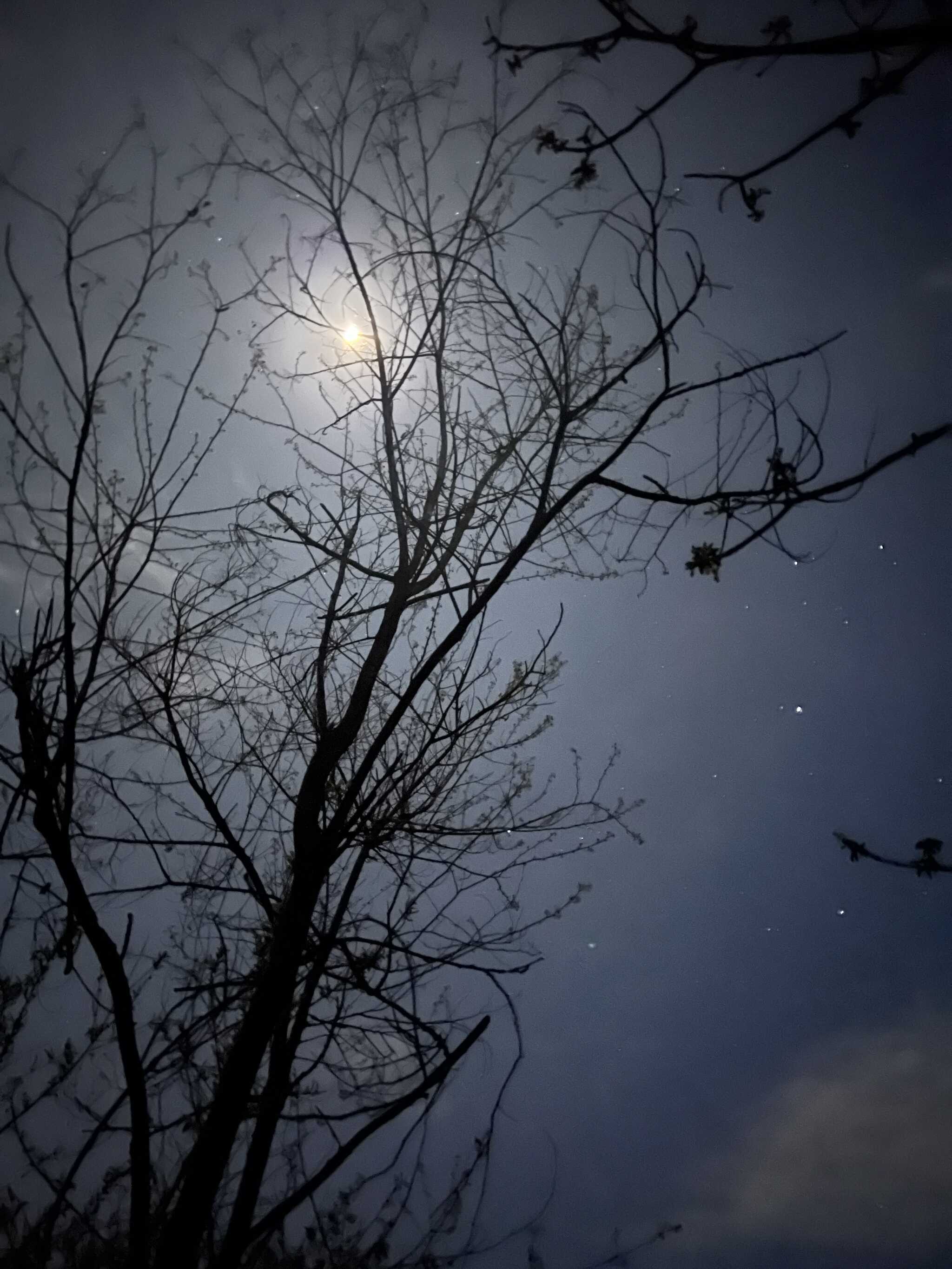 夜は雲多めだった
