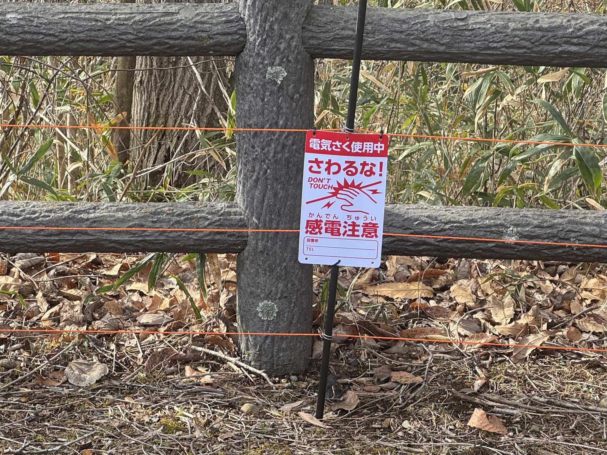 熊対策