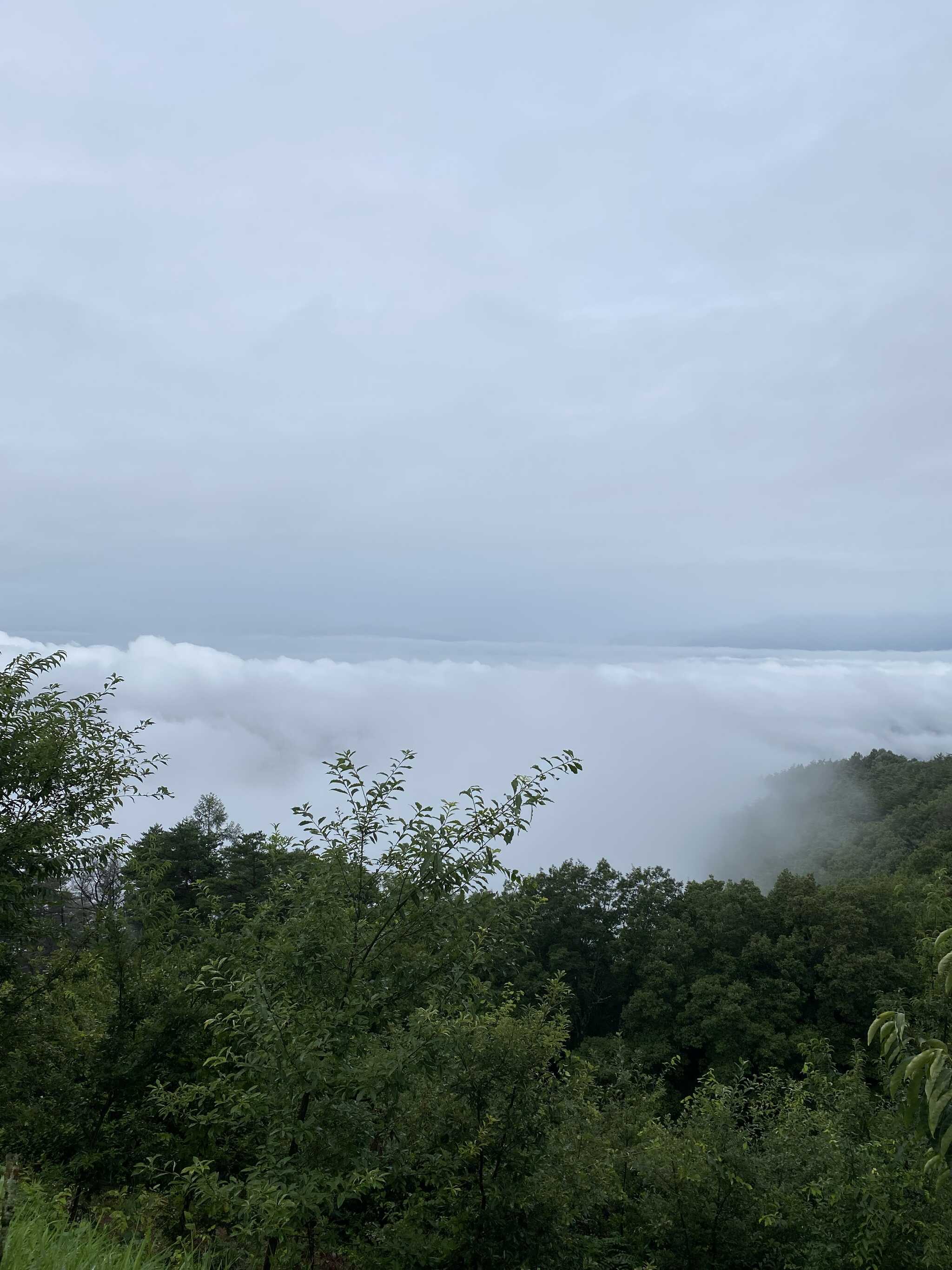 土砂降り翌朝の雲海
