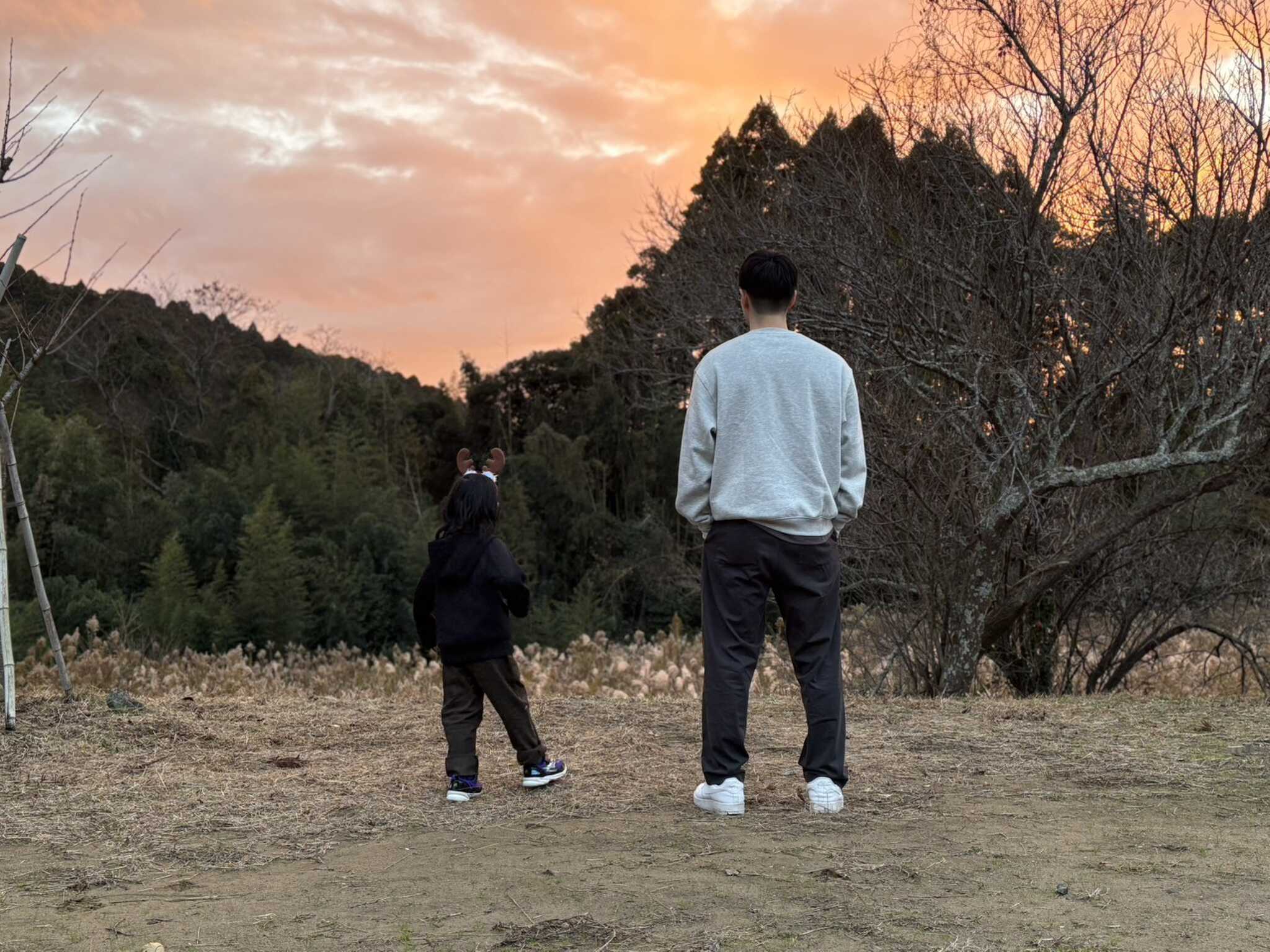 夕焼けと叔父と甥