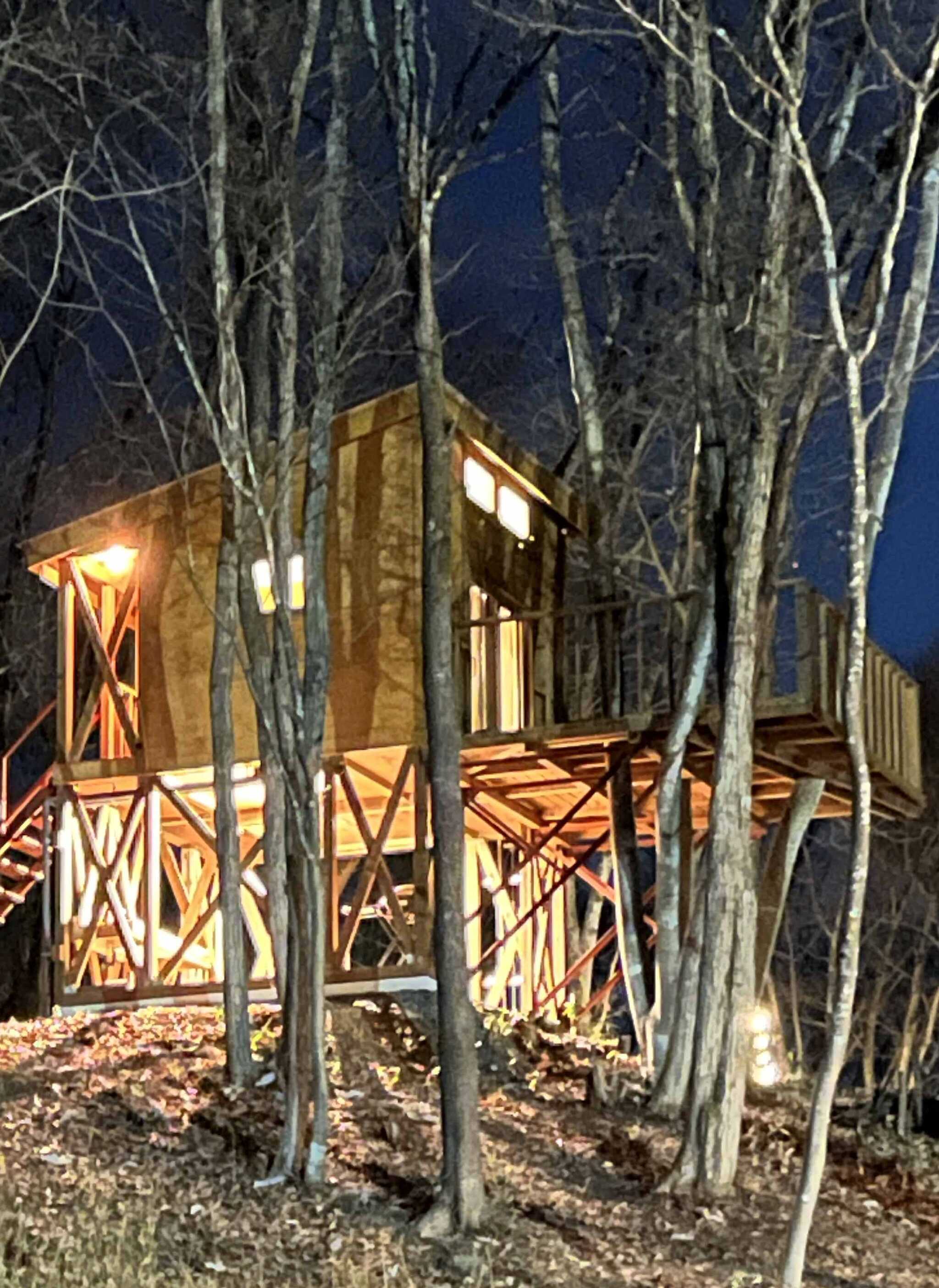 2025/12/31(大晦日)の晩、ツリーハウス