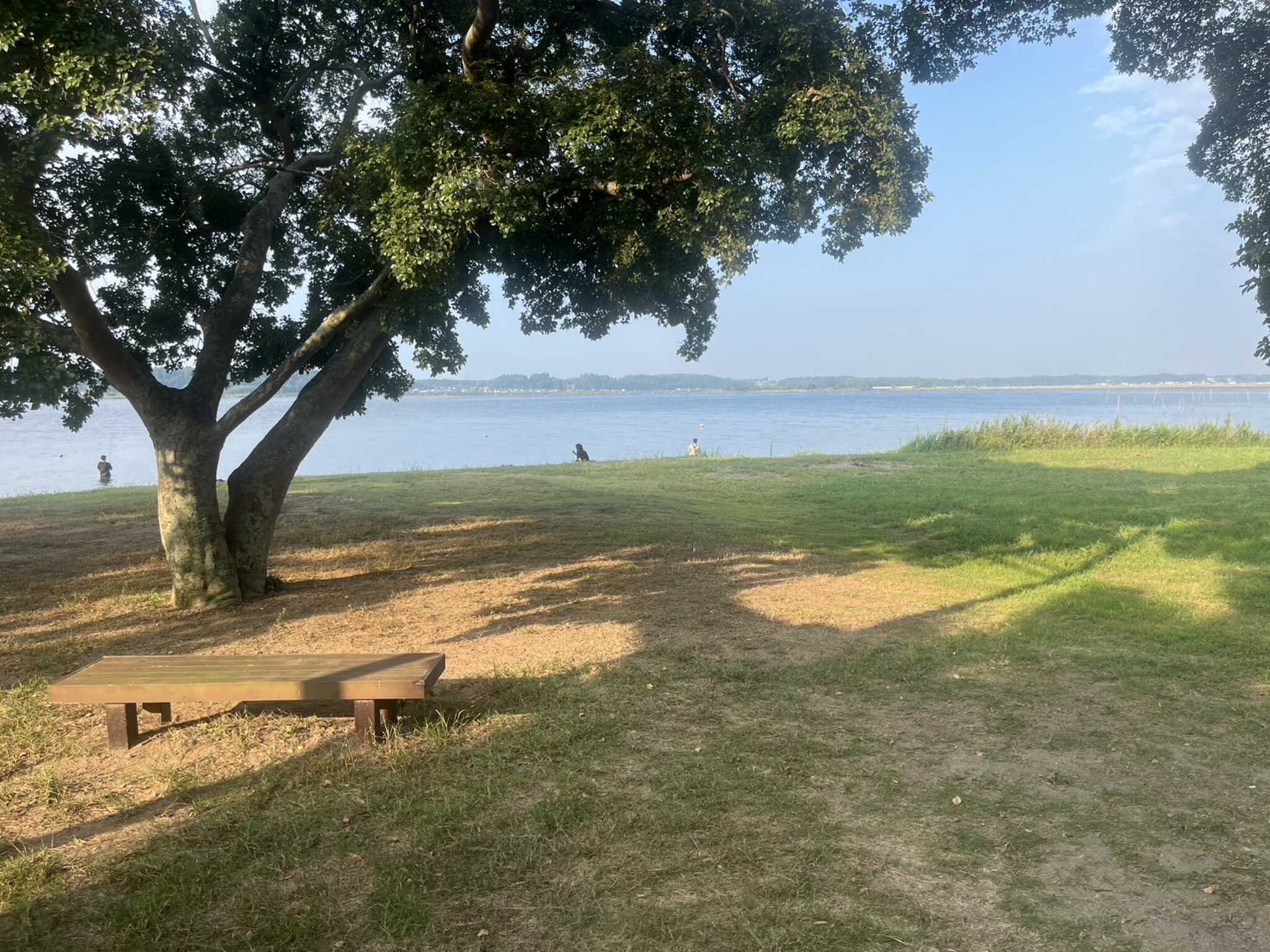 涸沼