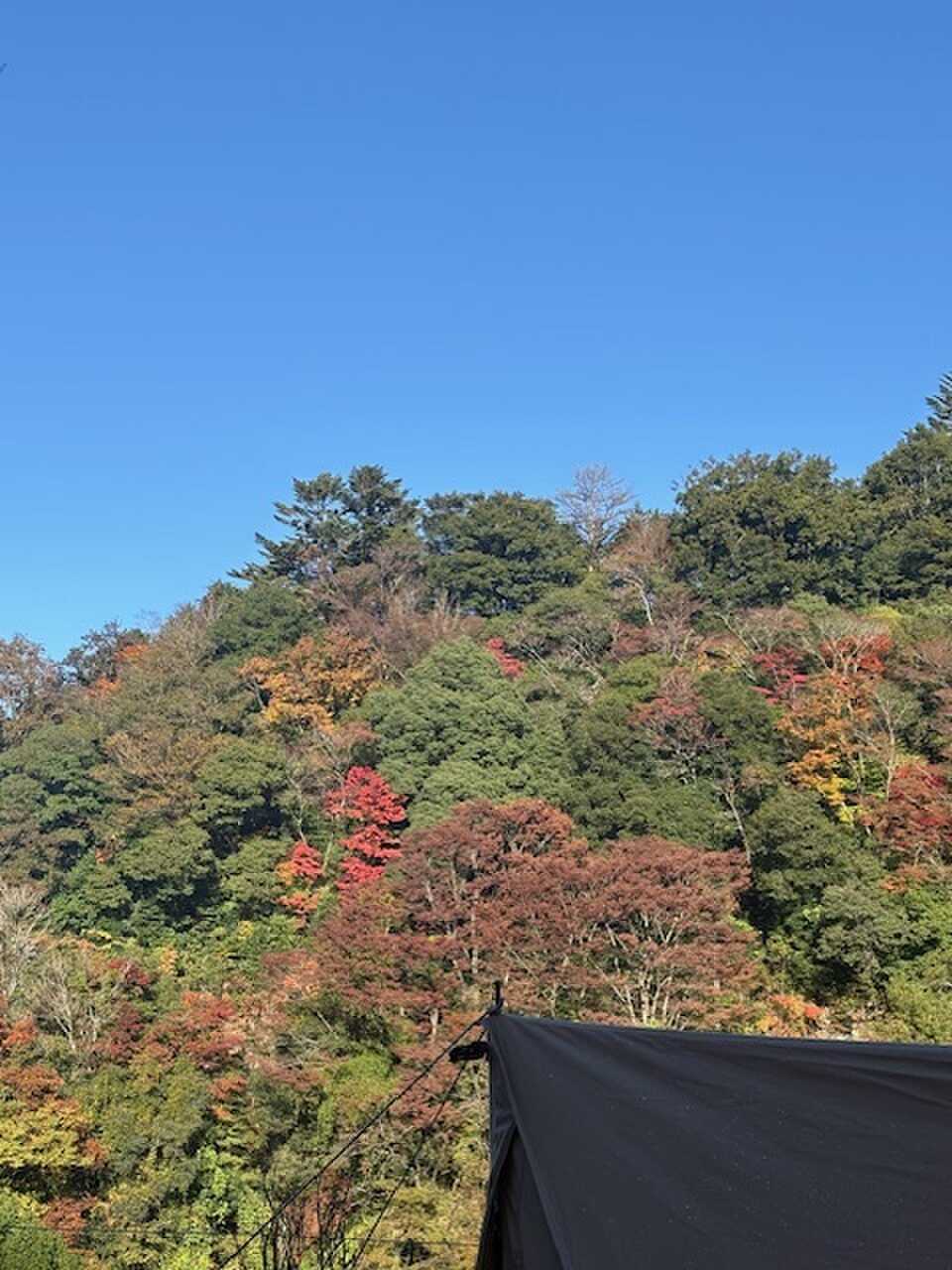 秋の景色