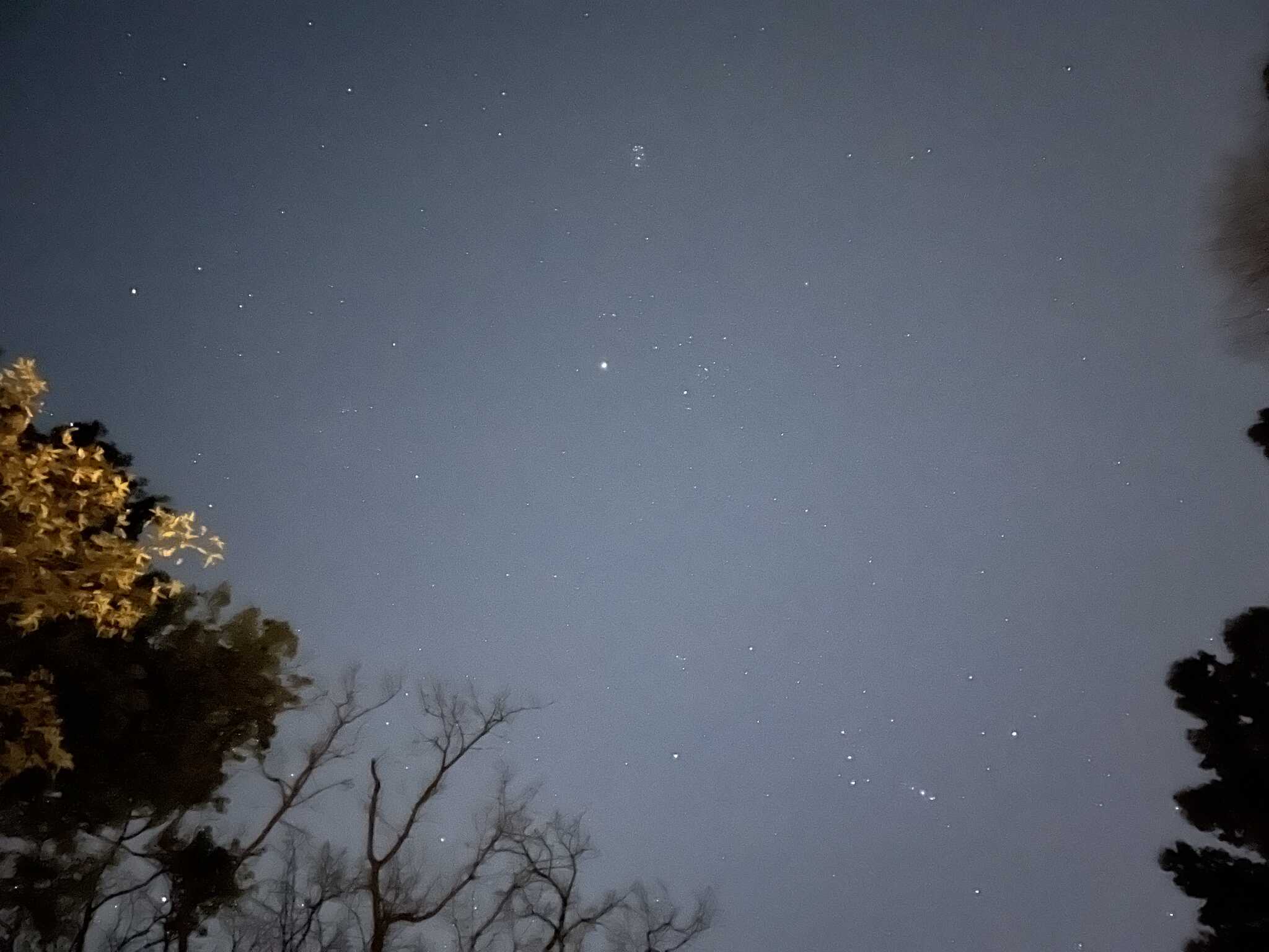 星もたくさん見えました
