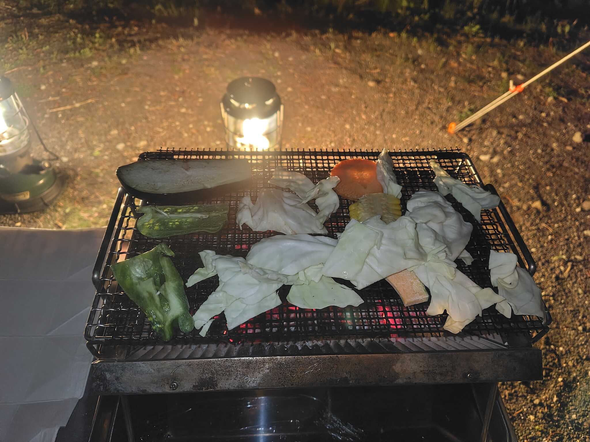 焼き野菜で独り宴会の図
