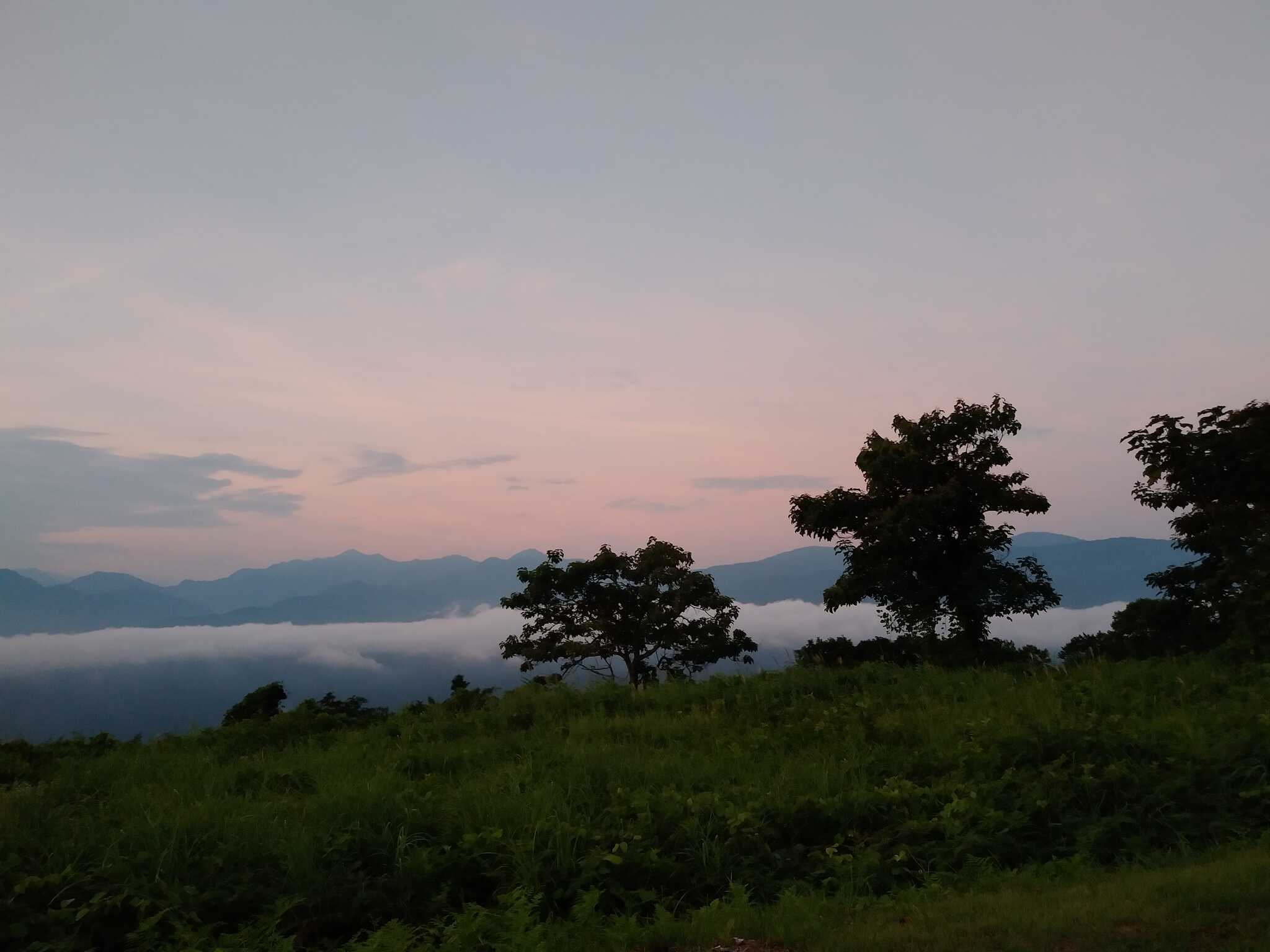 雲海