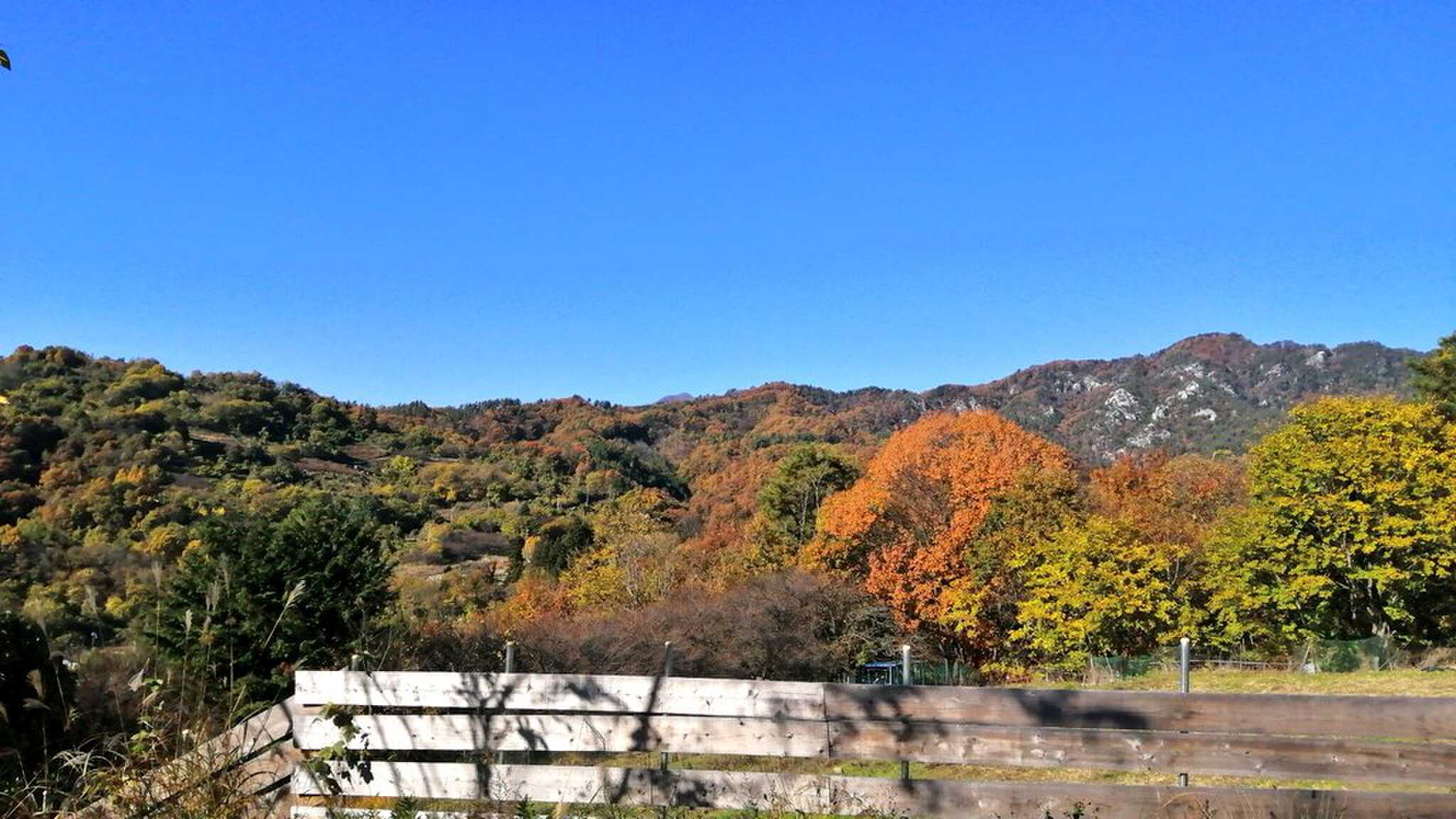 区画⑥紅葉を望む