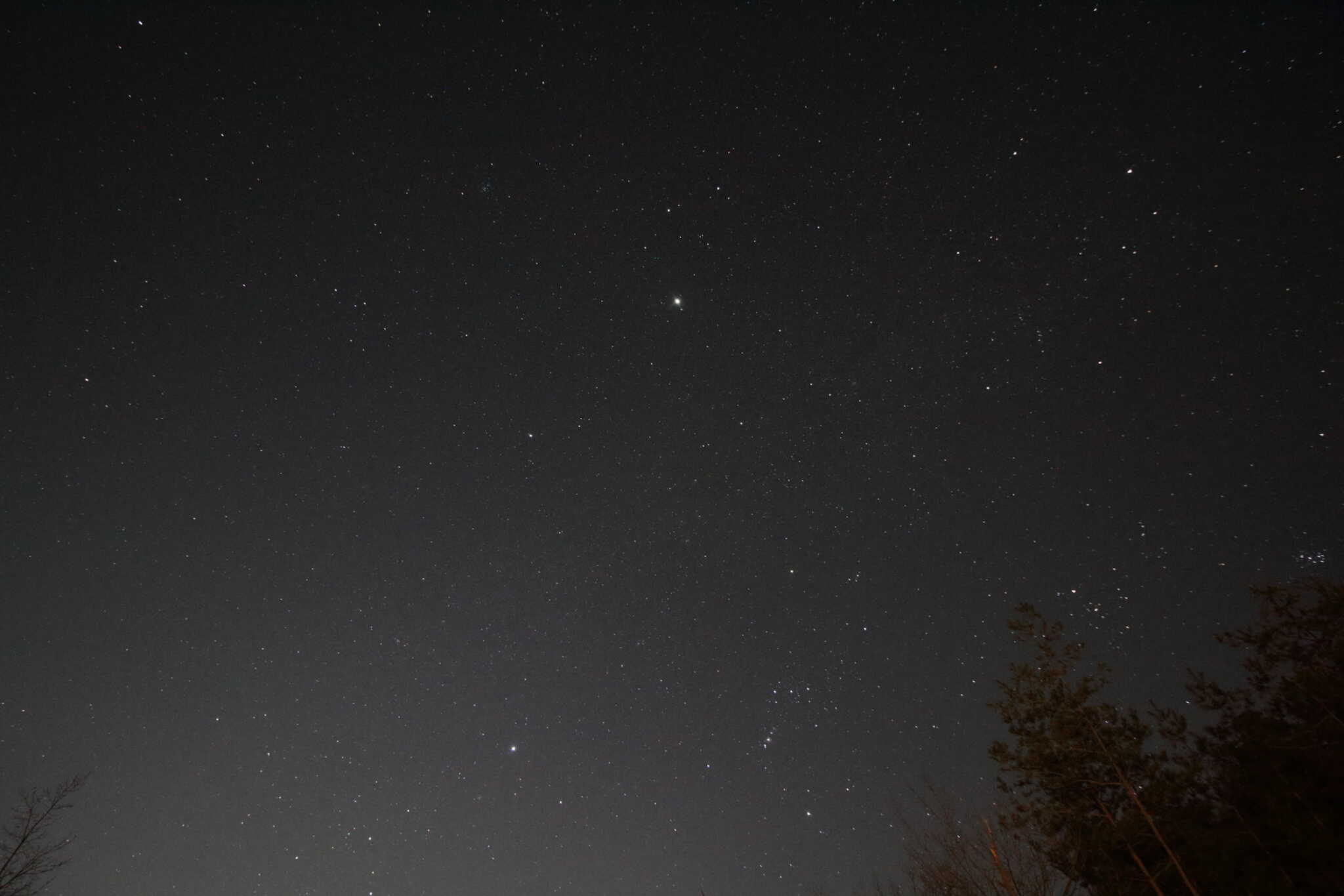 はなれサイト③満天の星空とシリウス