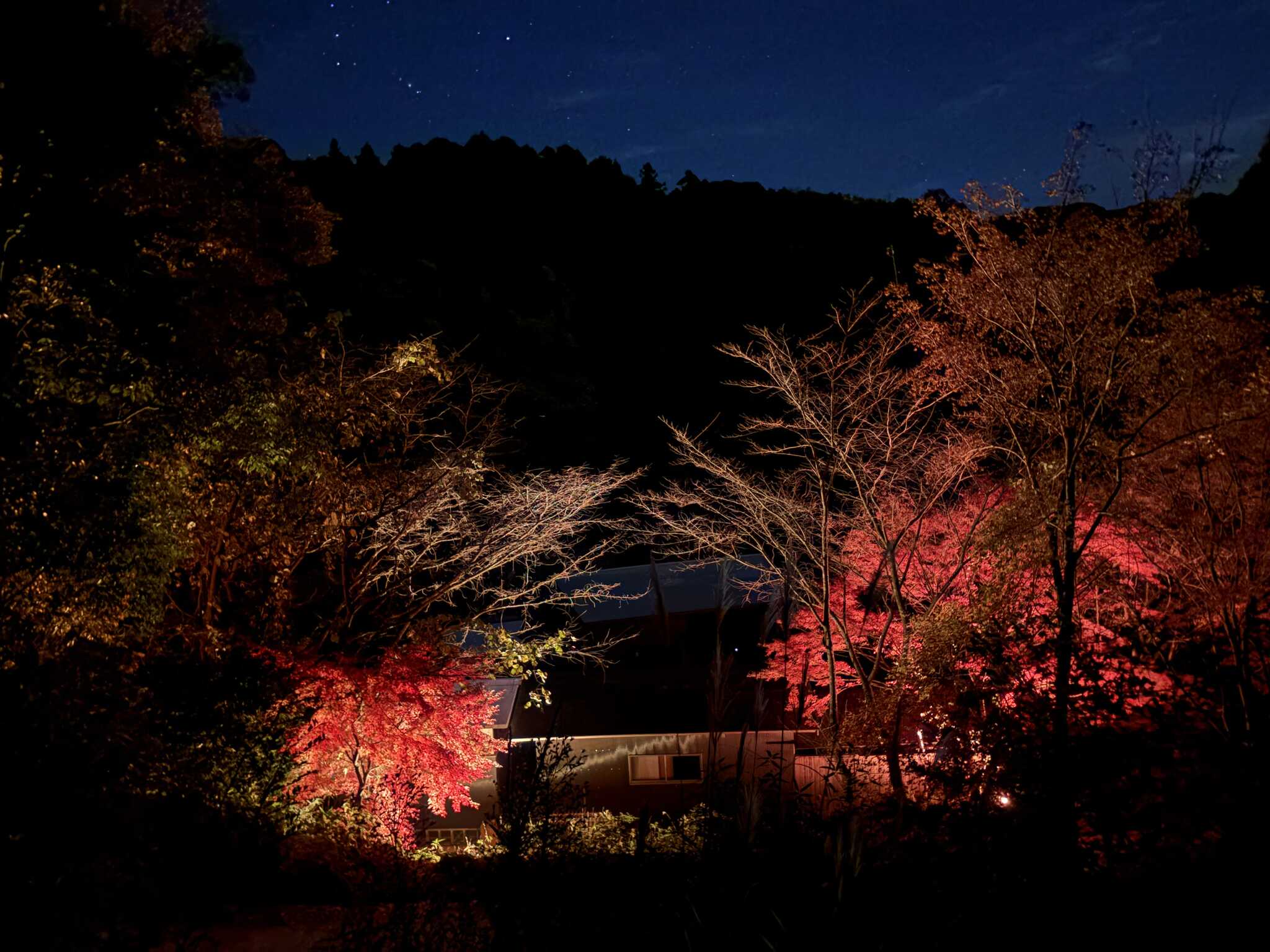 空気の森キャンプ場の口コミ投稿写真