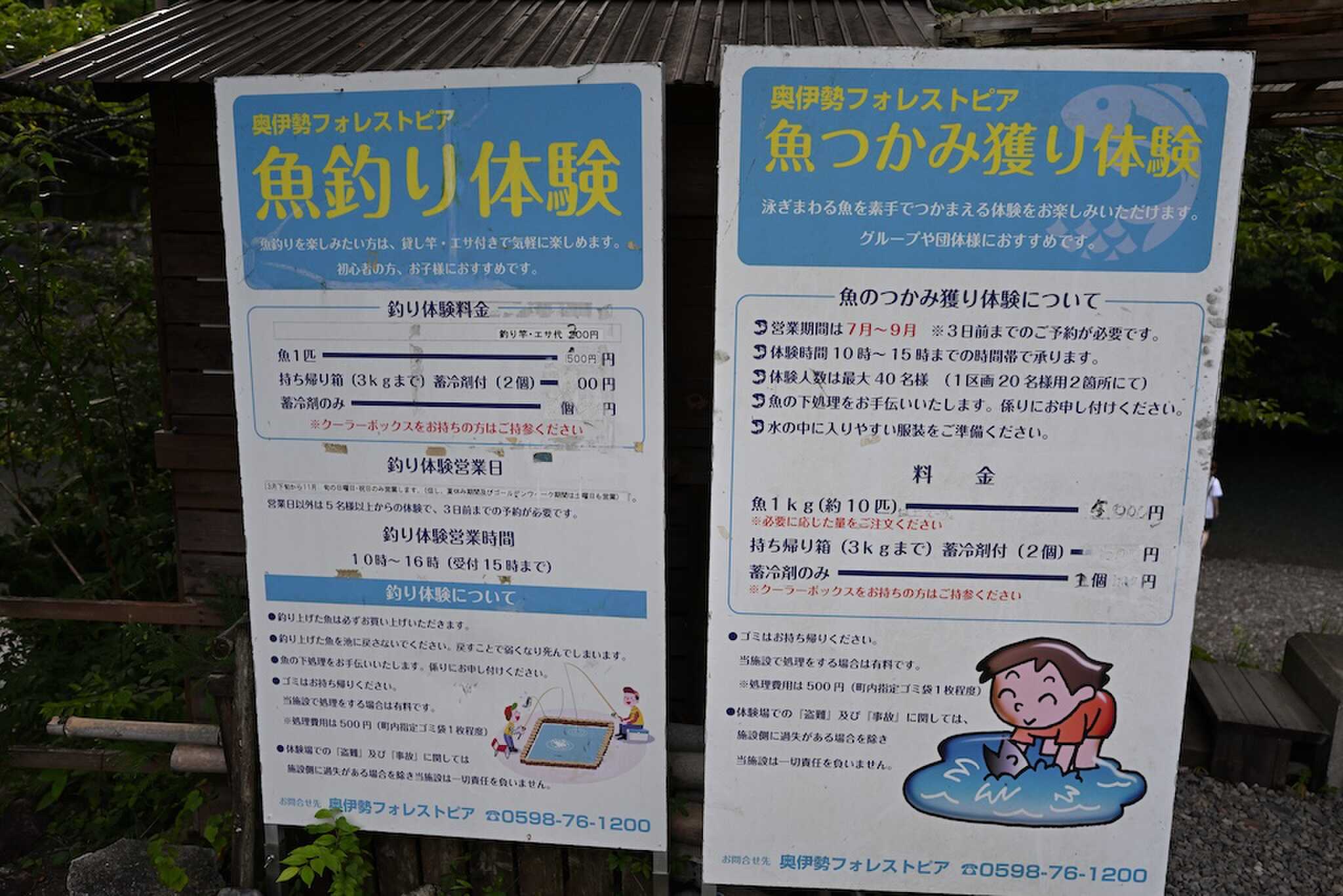 アクティビティ