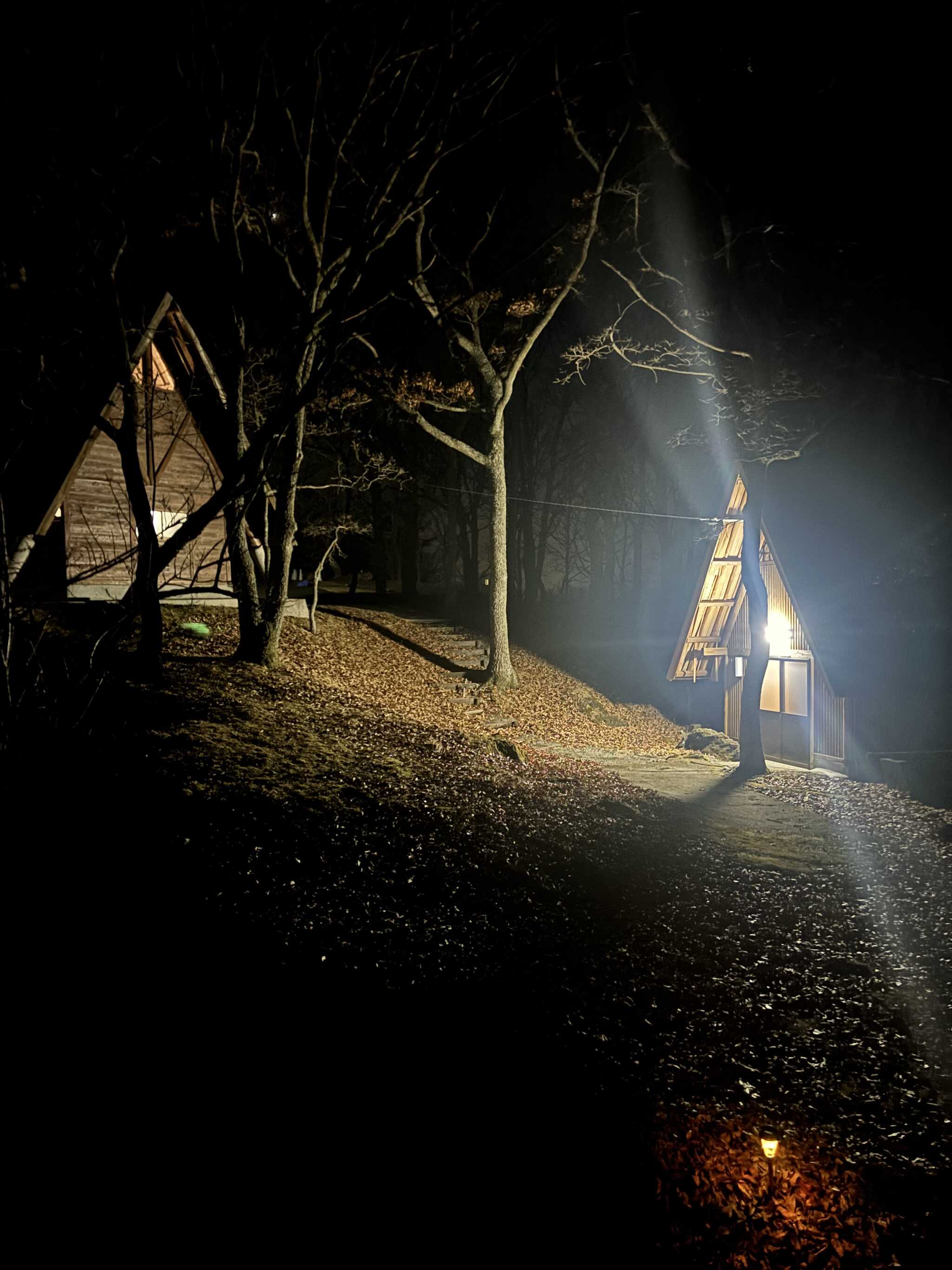 トイレは夜でも明るいです。