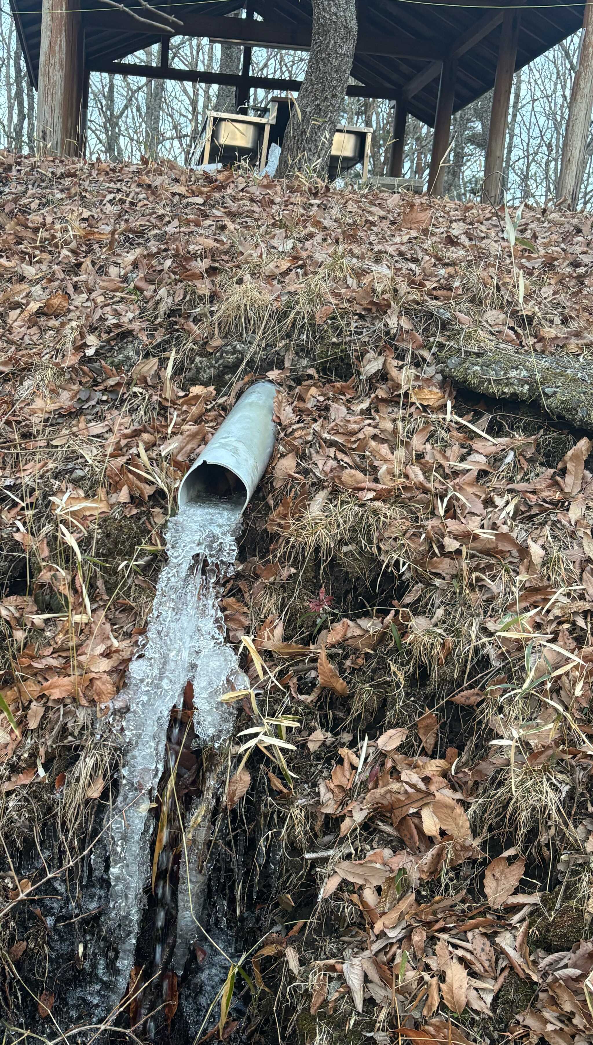 排水が凍ってました