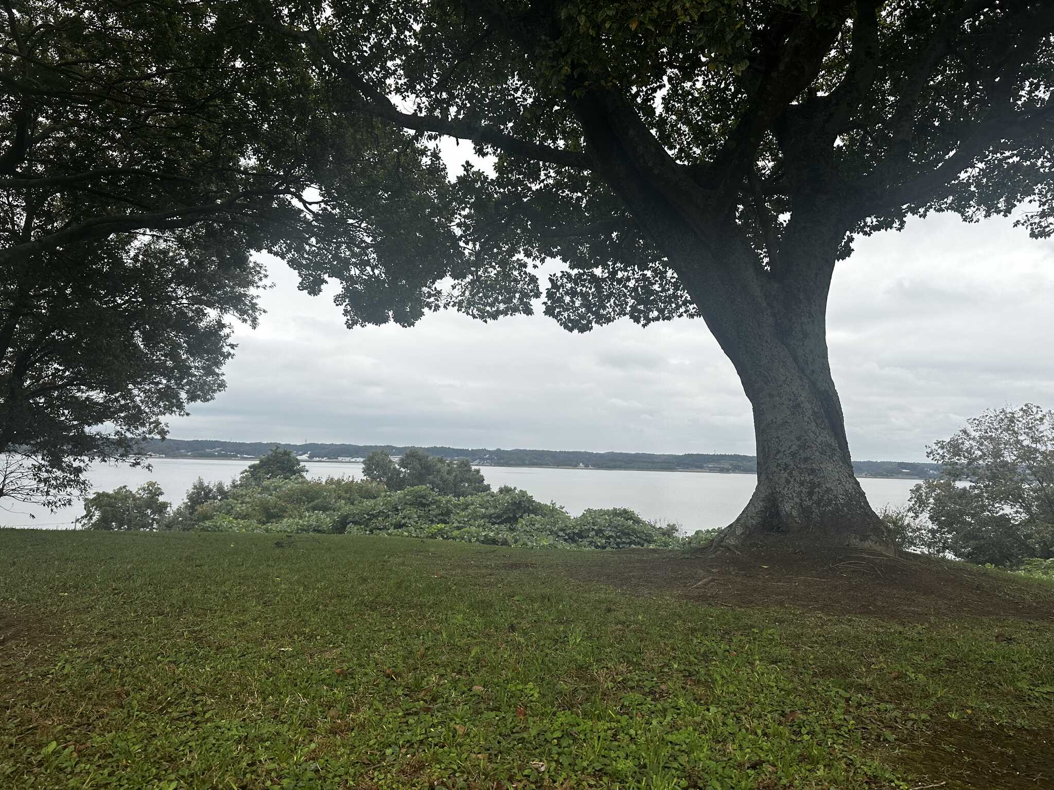 涸沼湖