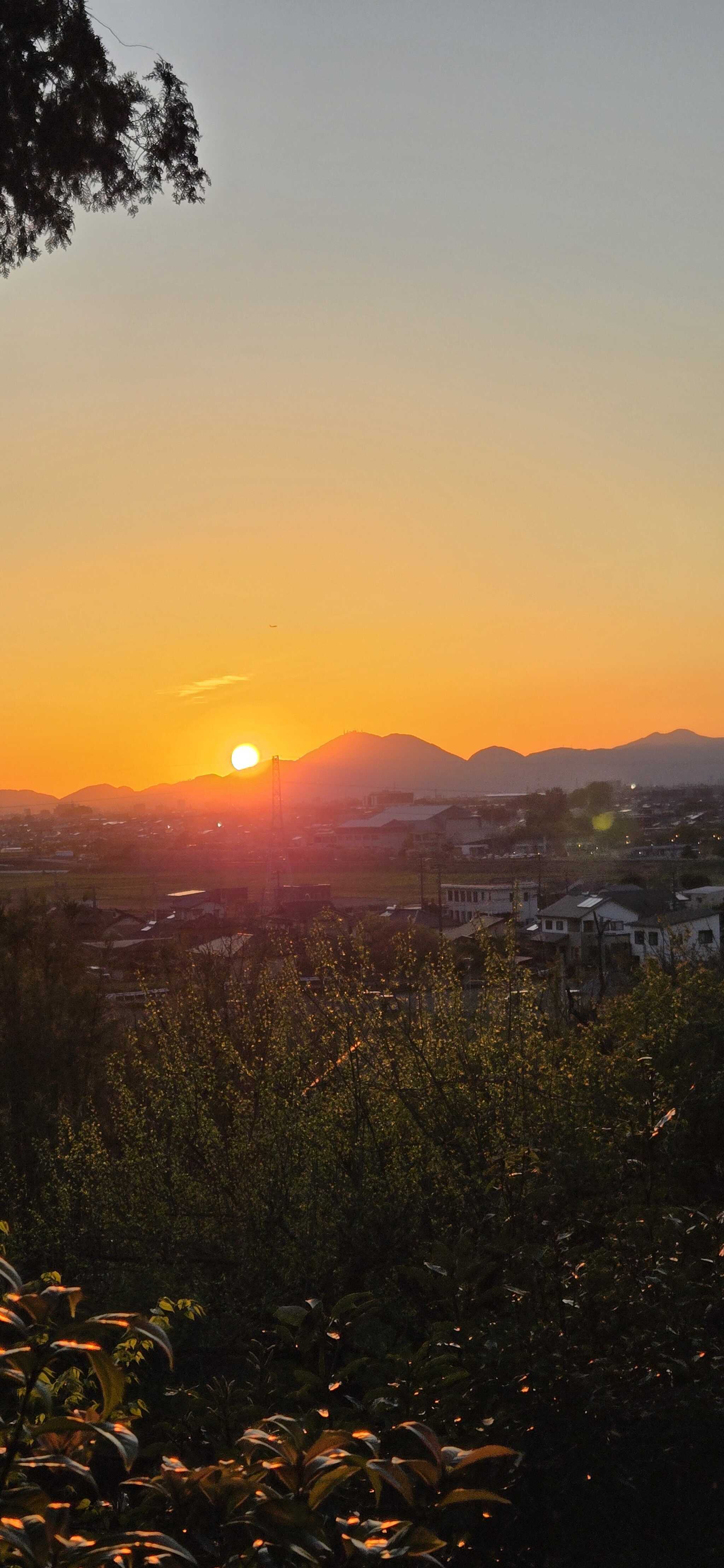 とても綺麗な夕陽でした。