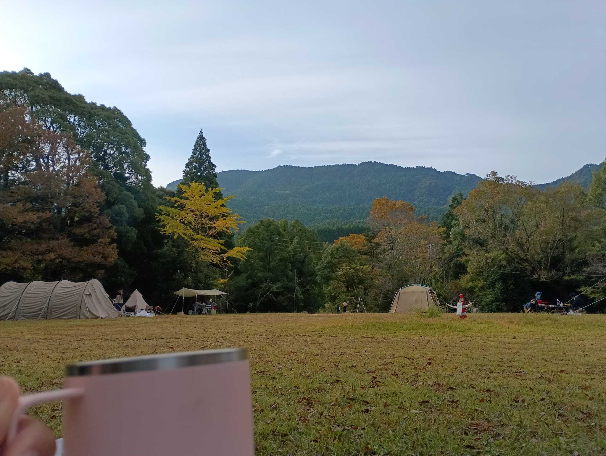 朝のコーヒー