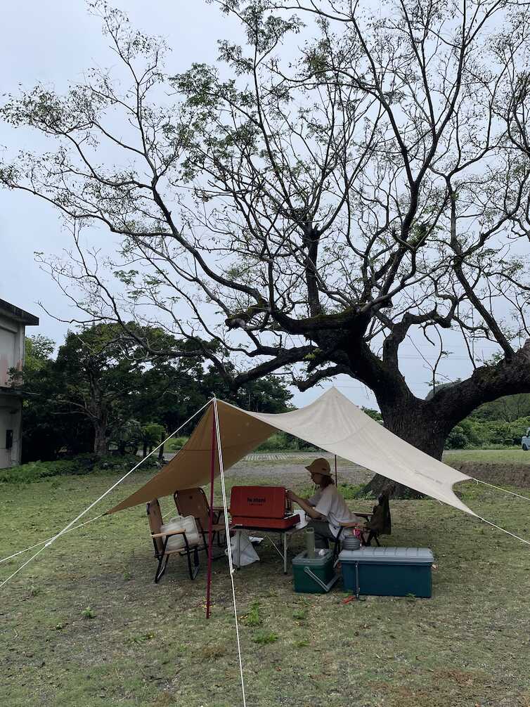 センダンの木の下でキャンプ
