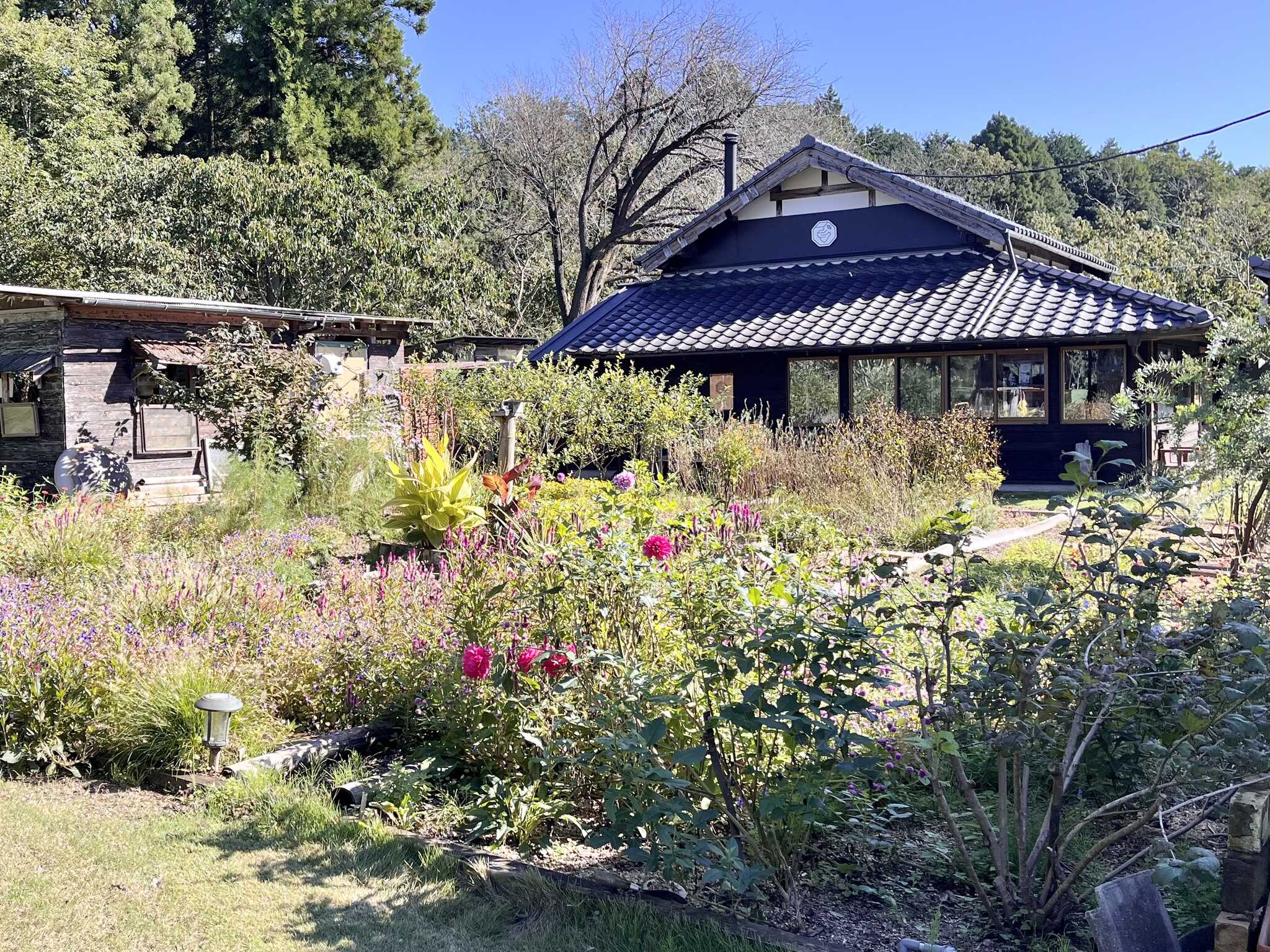 カフェの外観。お花と相まって可愛いです