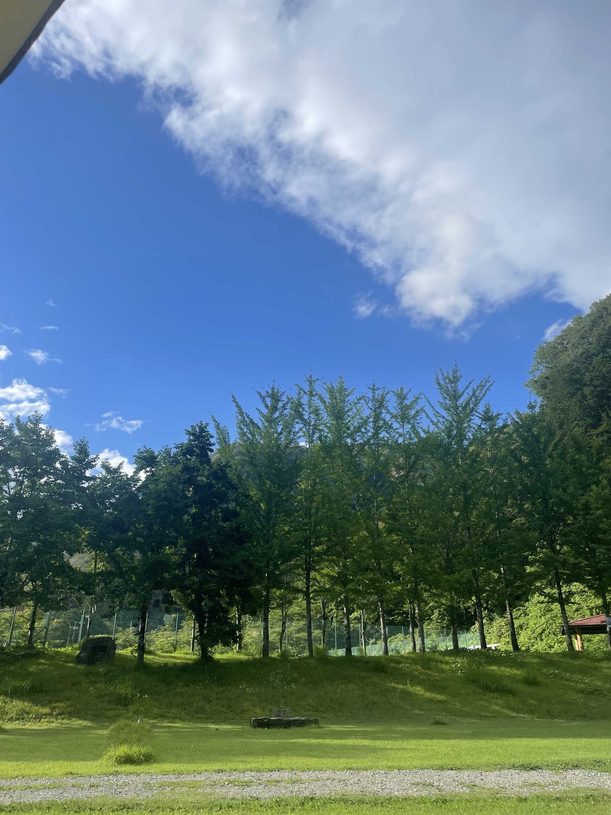 空が多かったです