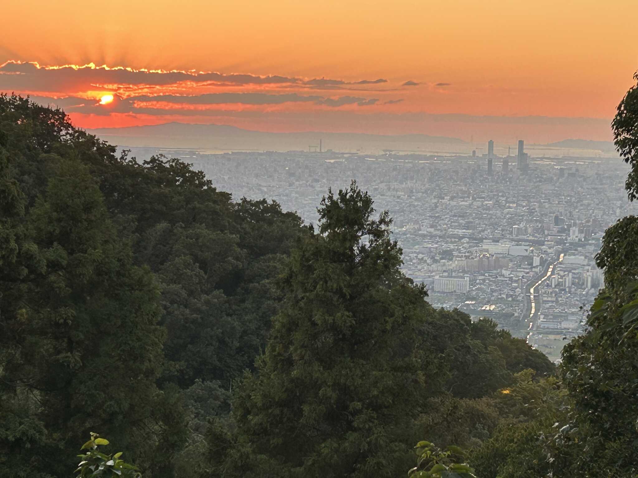 夕日が素敵すぎました