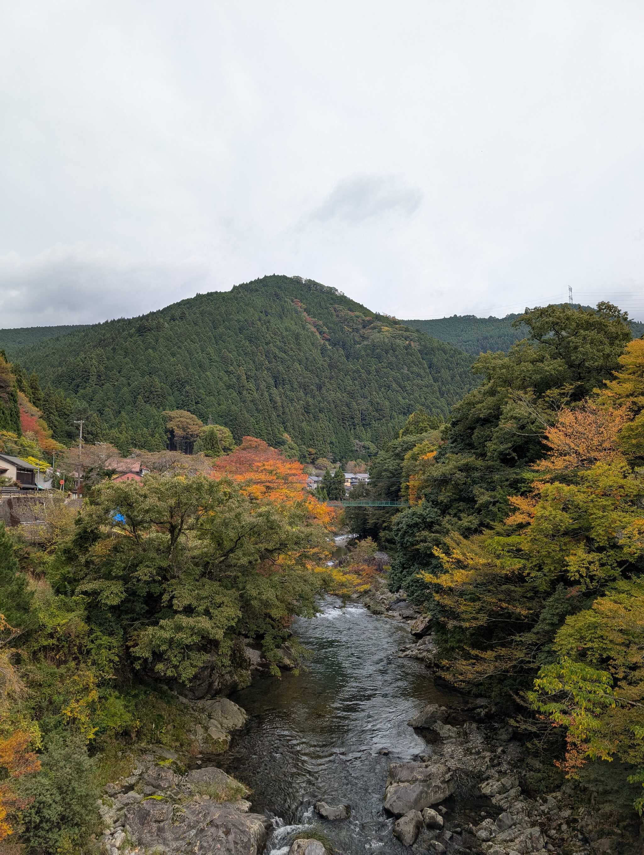 周辺の風景