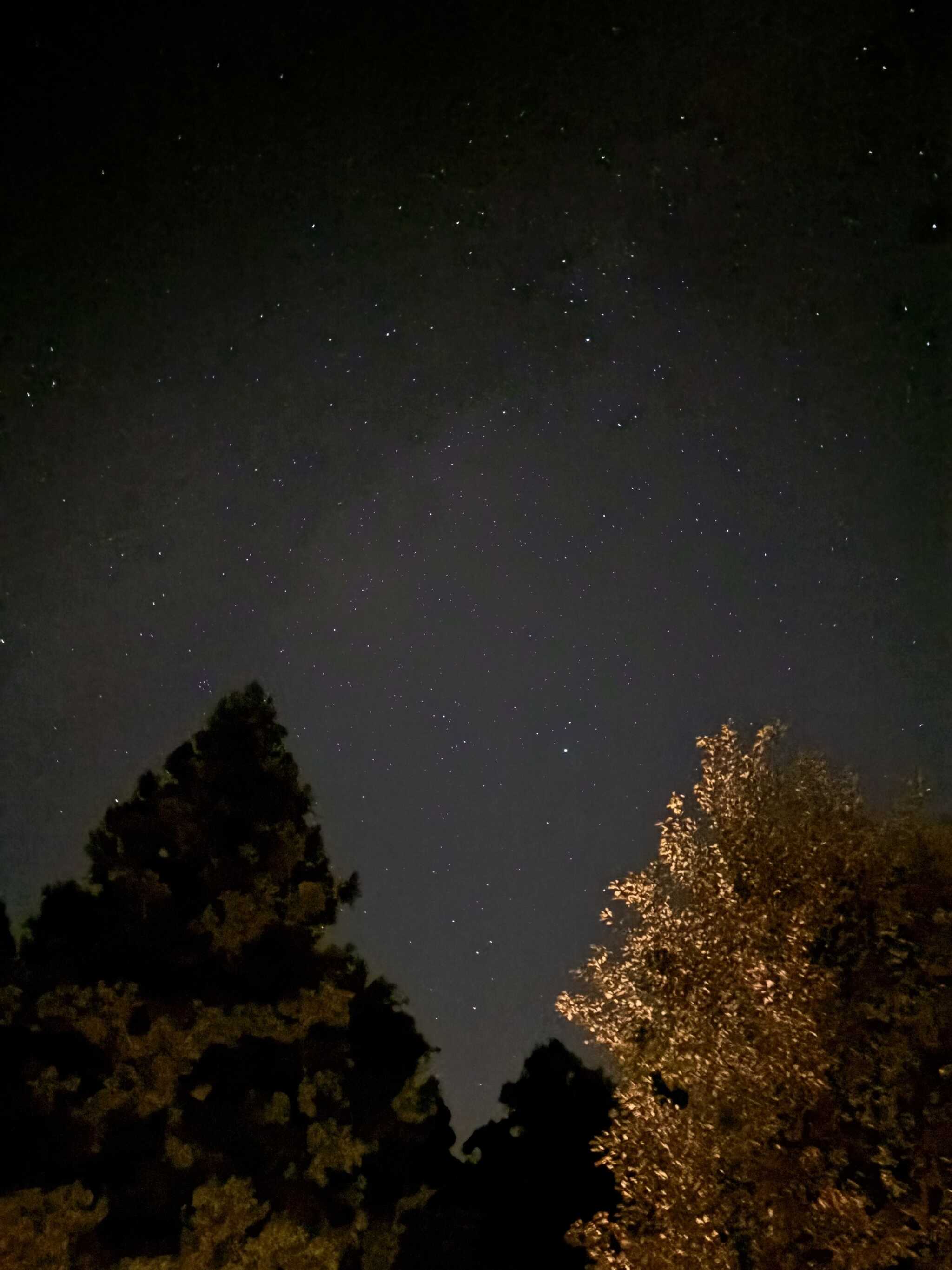 夜空の星が綺麗です。
