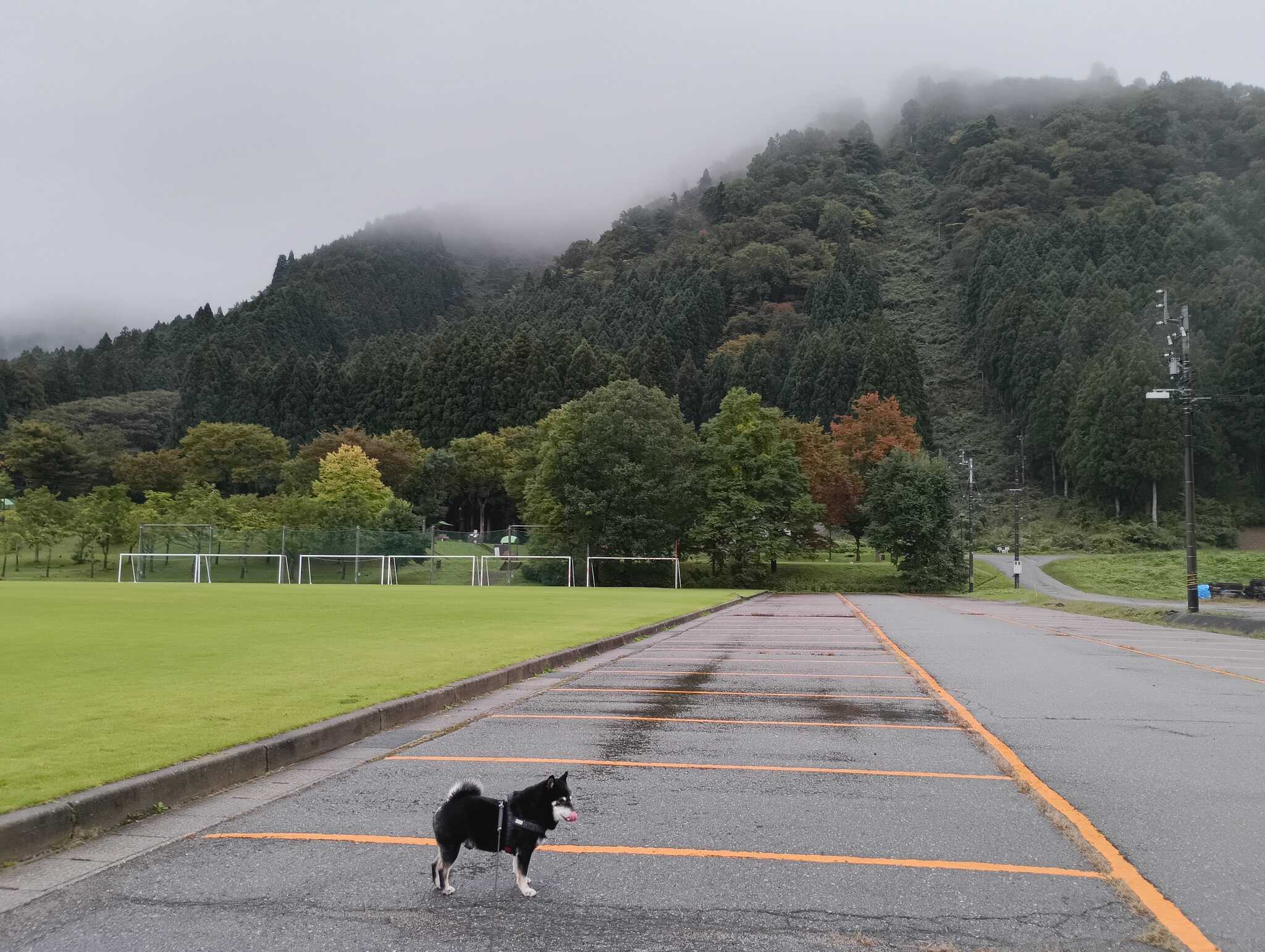 サイト手前のグランドから