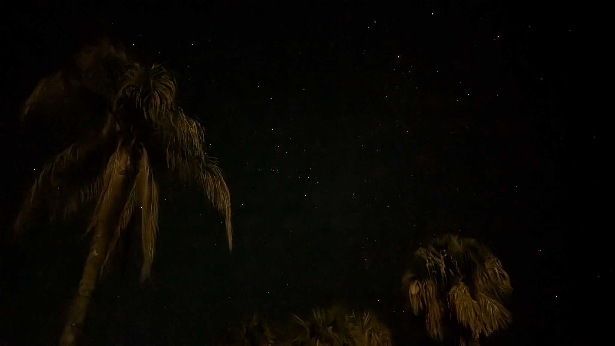 夜明け前の満天の星空
