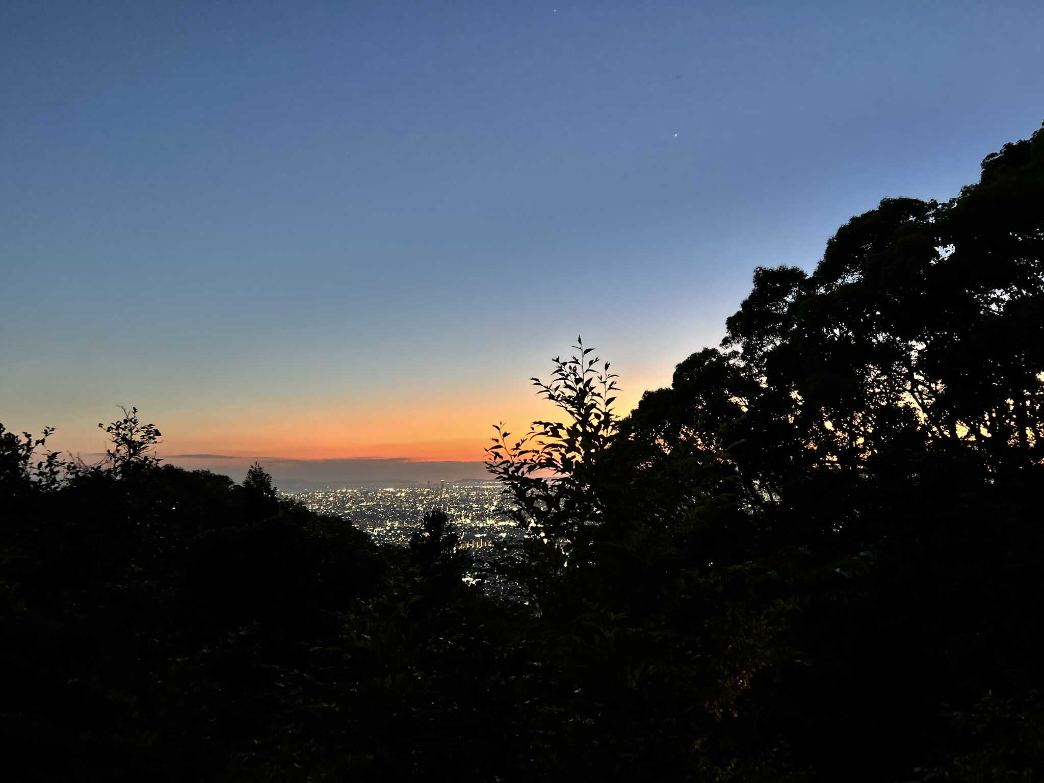 コテージからの夜景!
