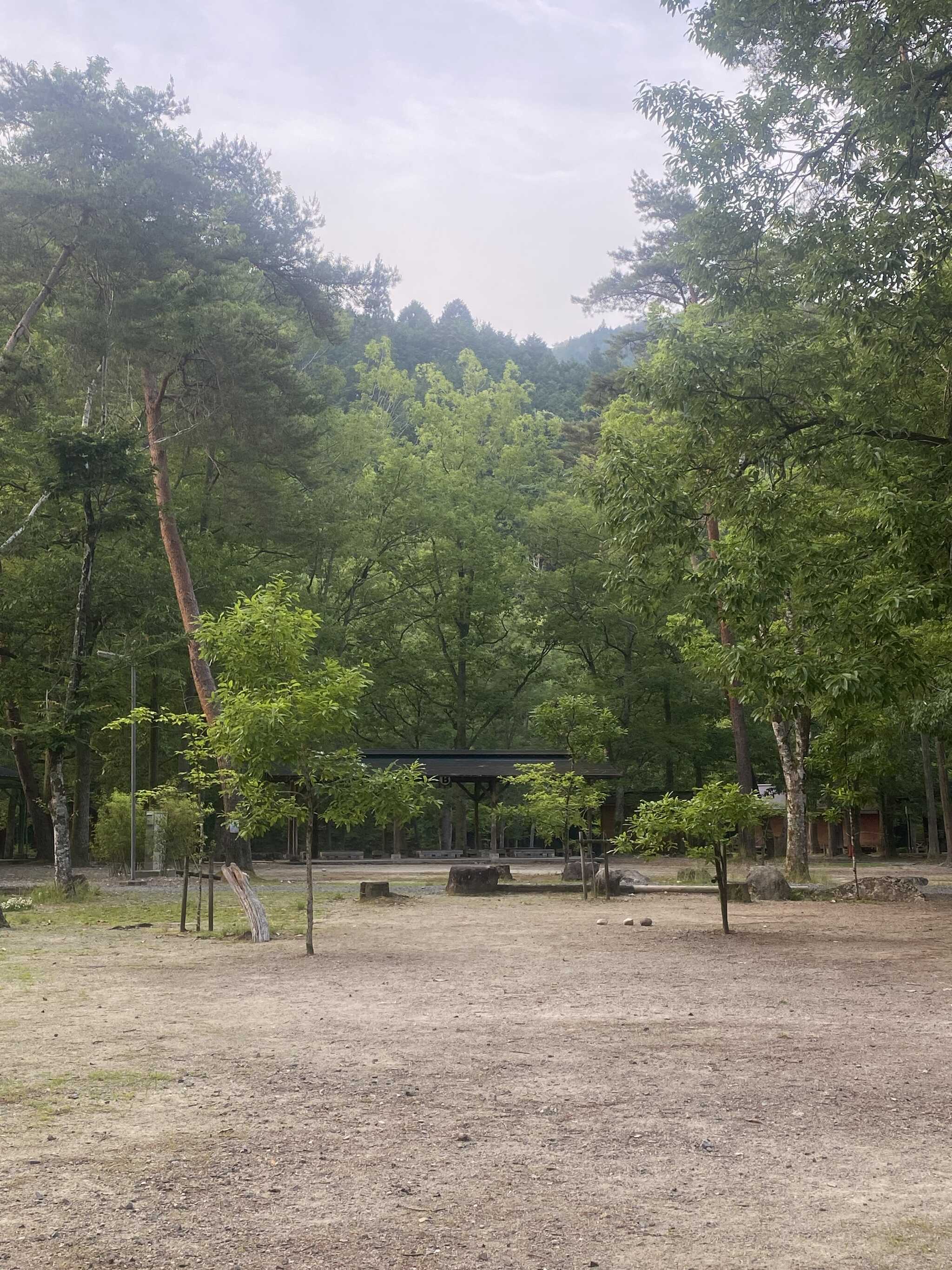 日中