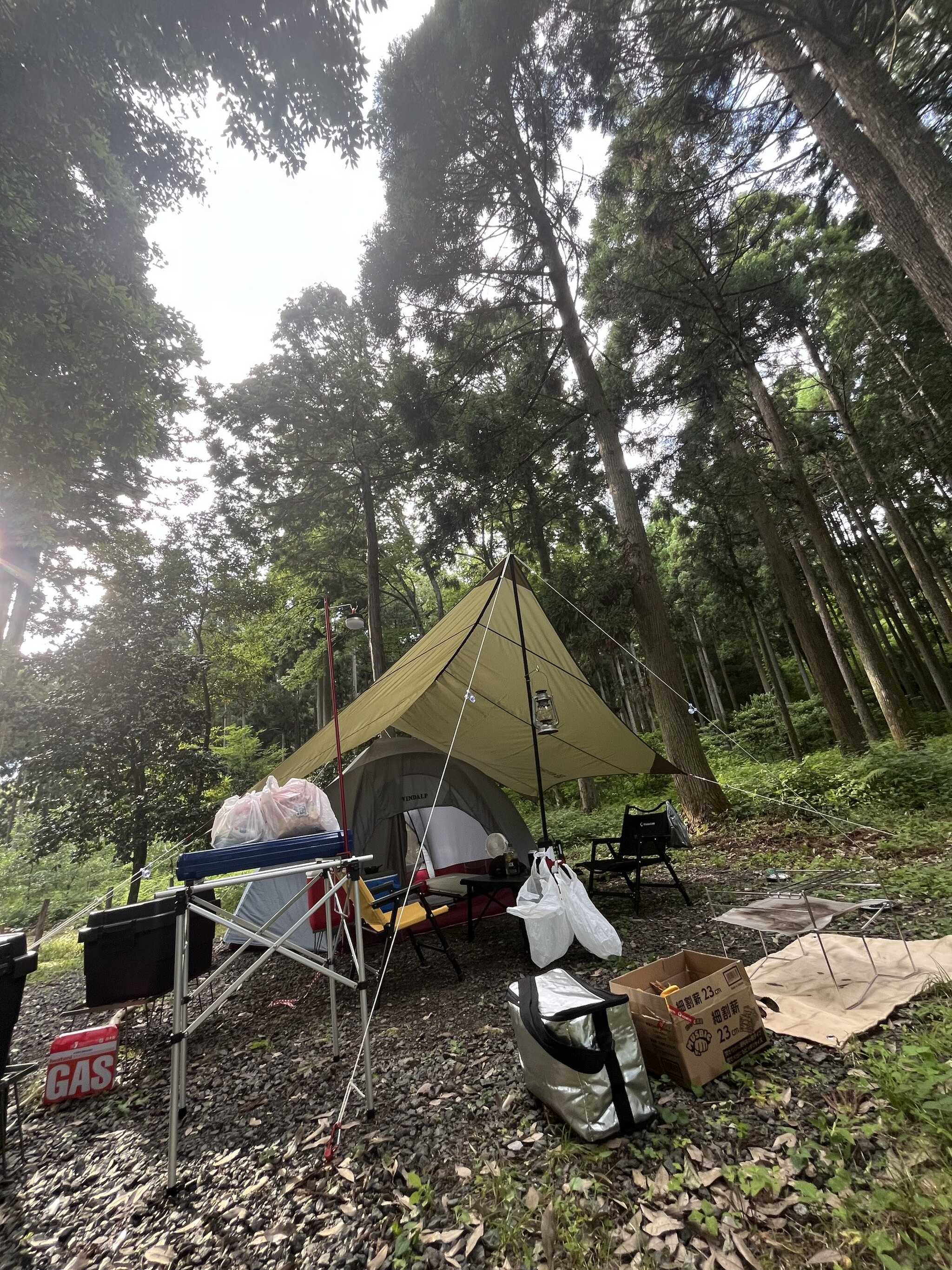 木陰でですが暗くもなく良い感じ