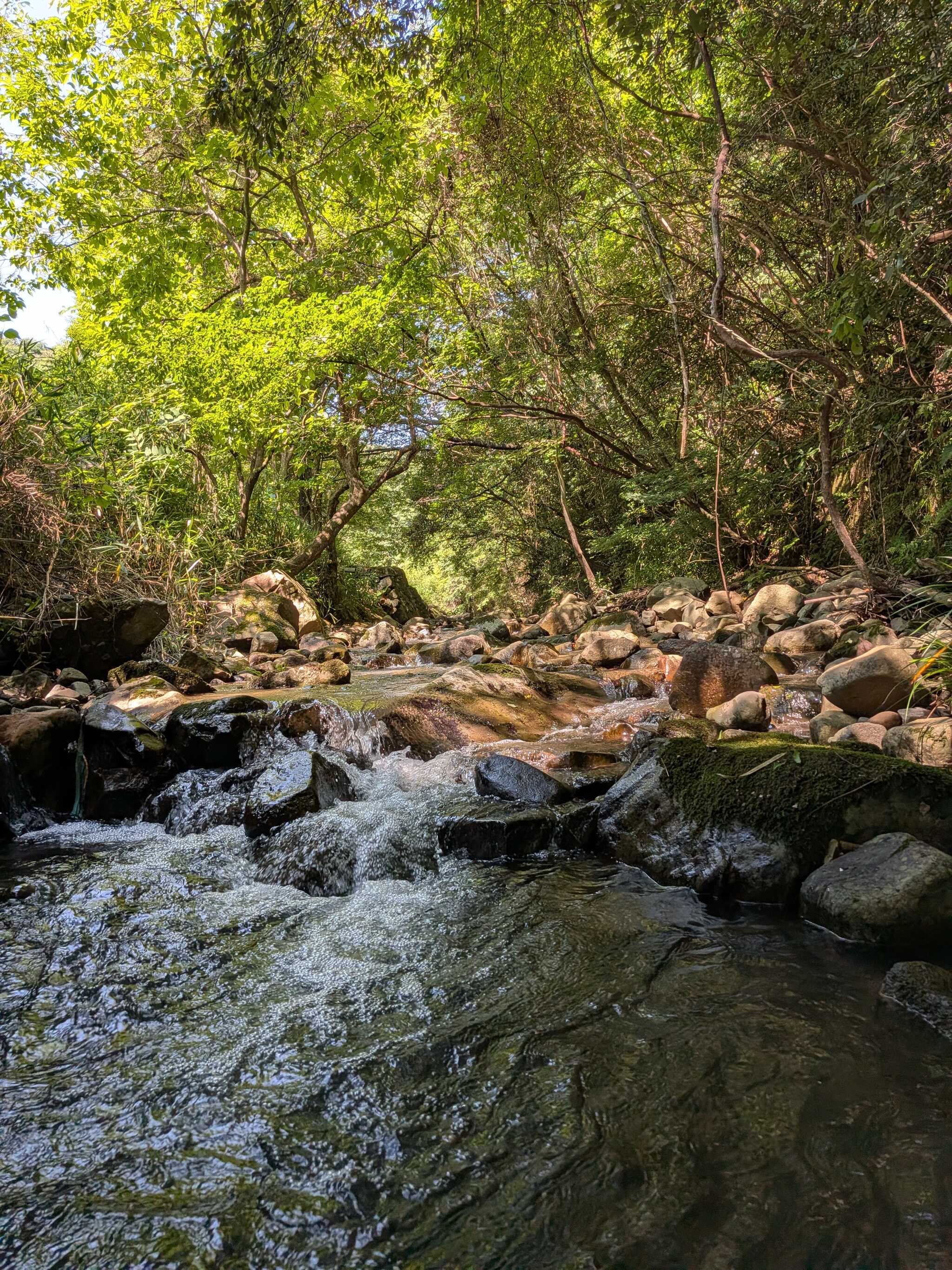 紀泉わいわい村 FUNNY HEARTHの口コミ投稿写真