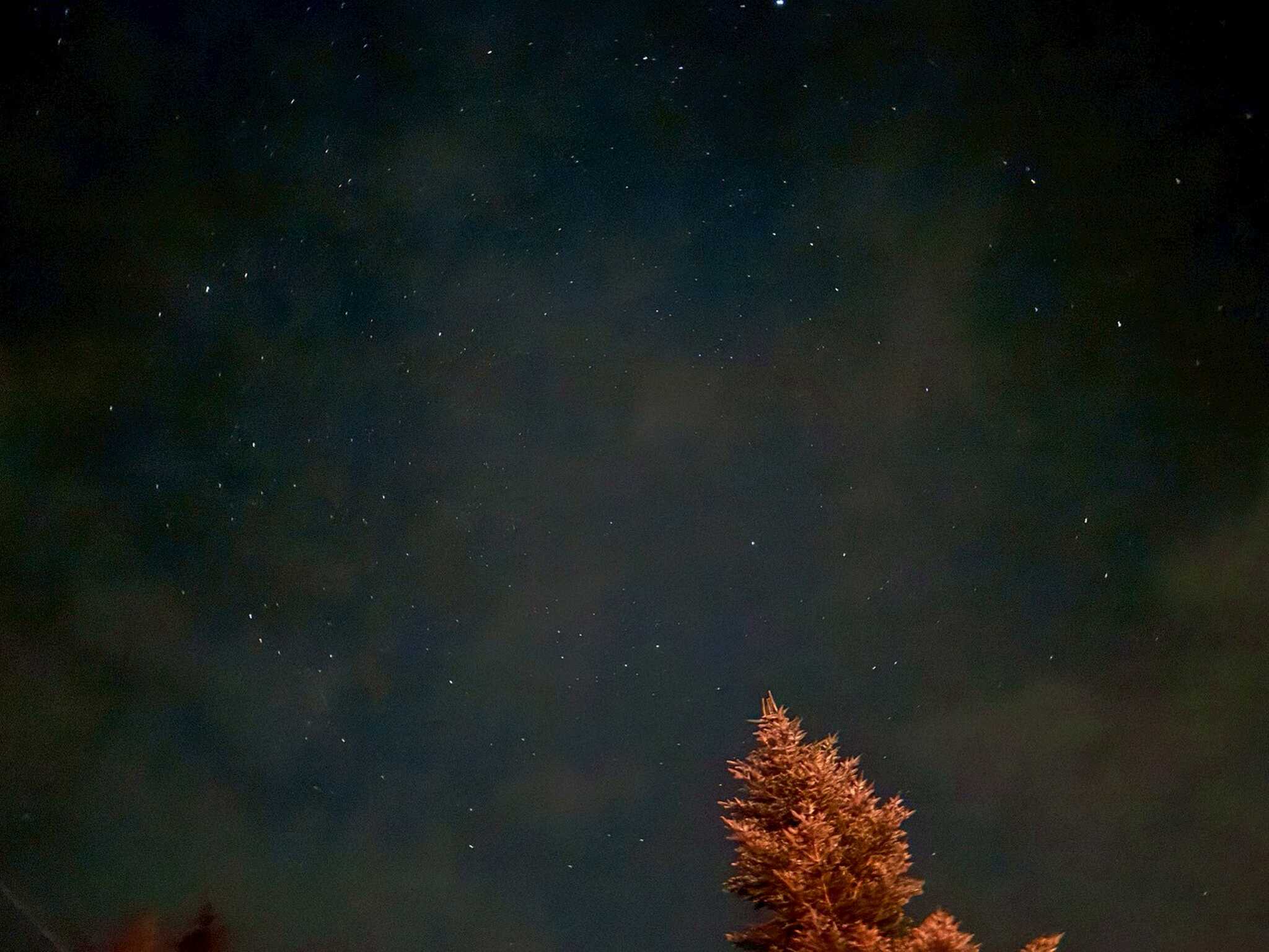 コテージから徒歩数分の星空
