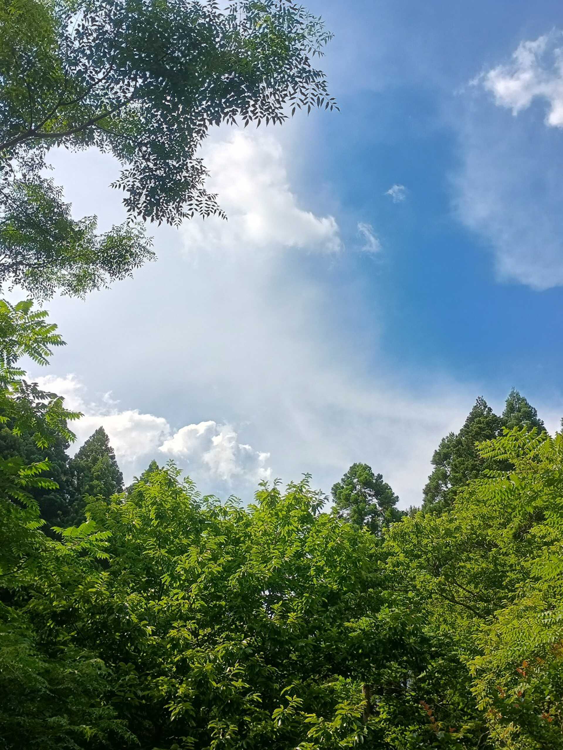 空