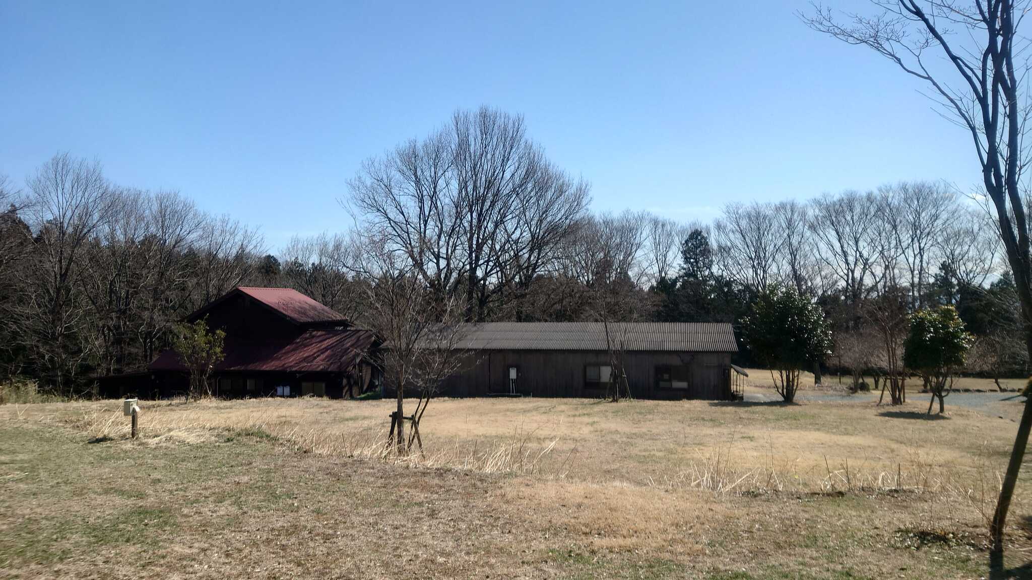 サイトDから管理棟側