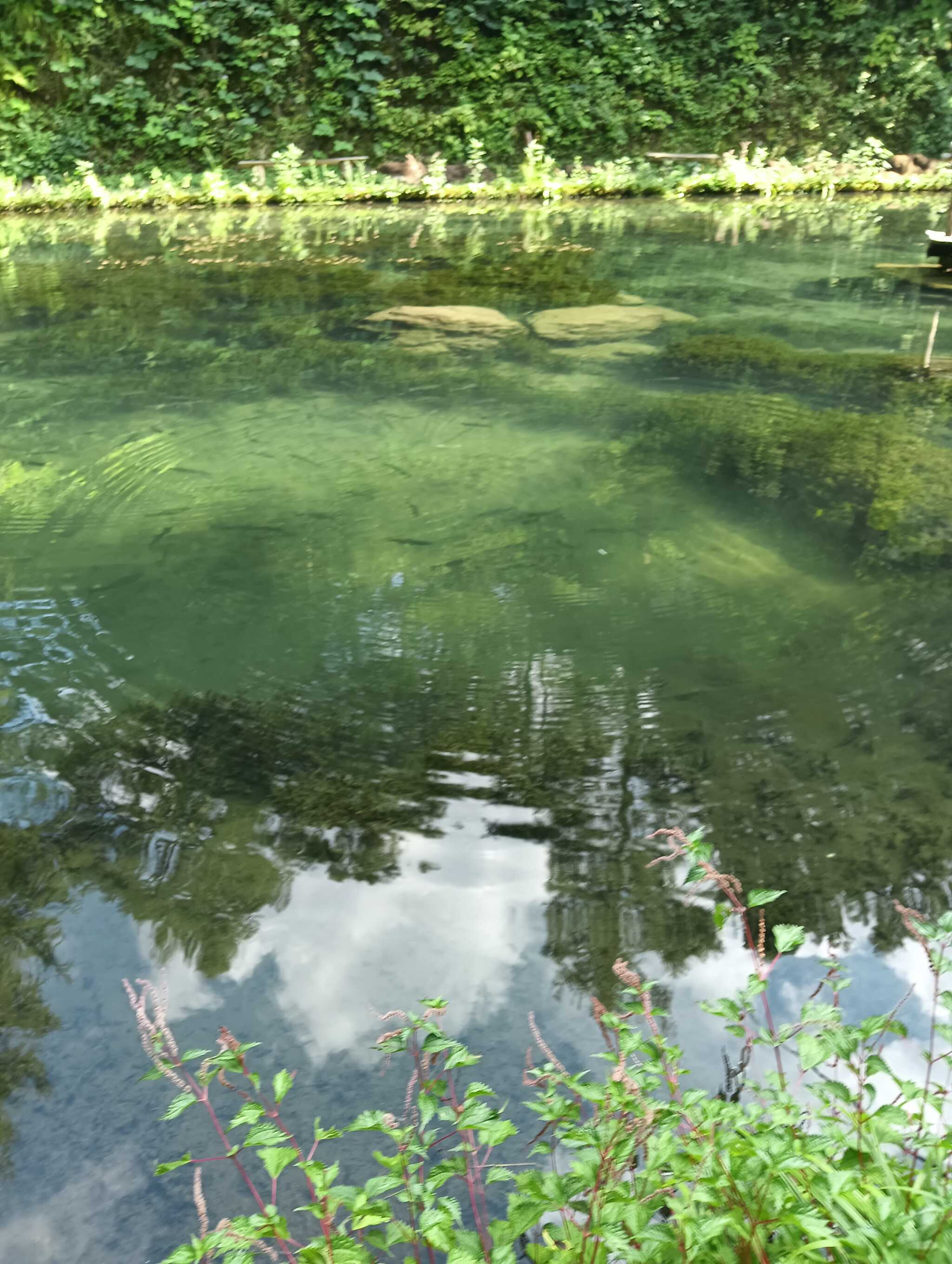 釣り堀