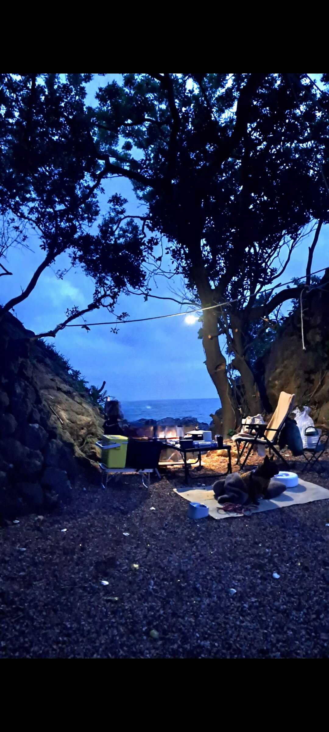 越前渚オートキャンプ場の口コミ投稿写真