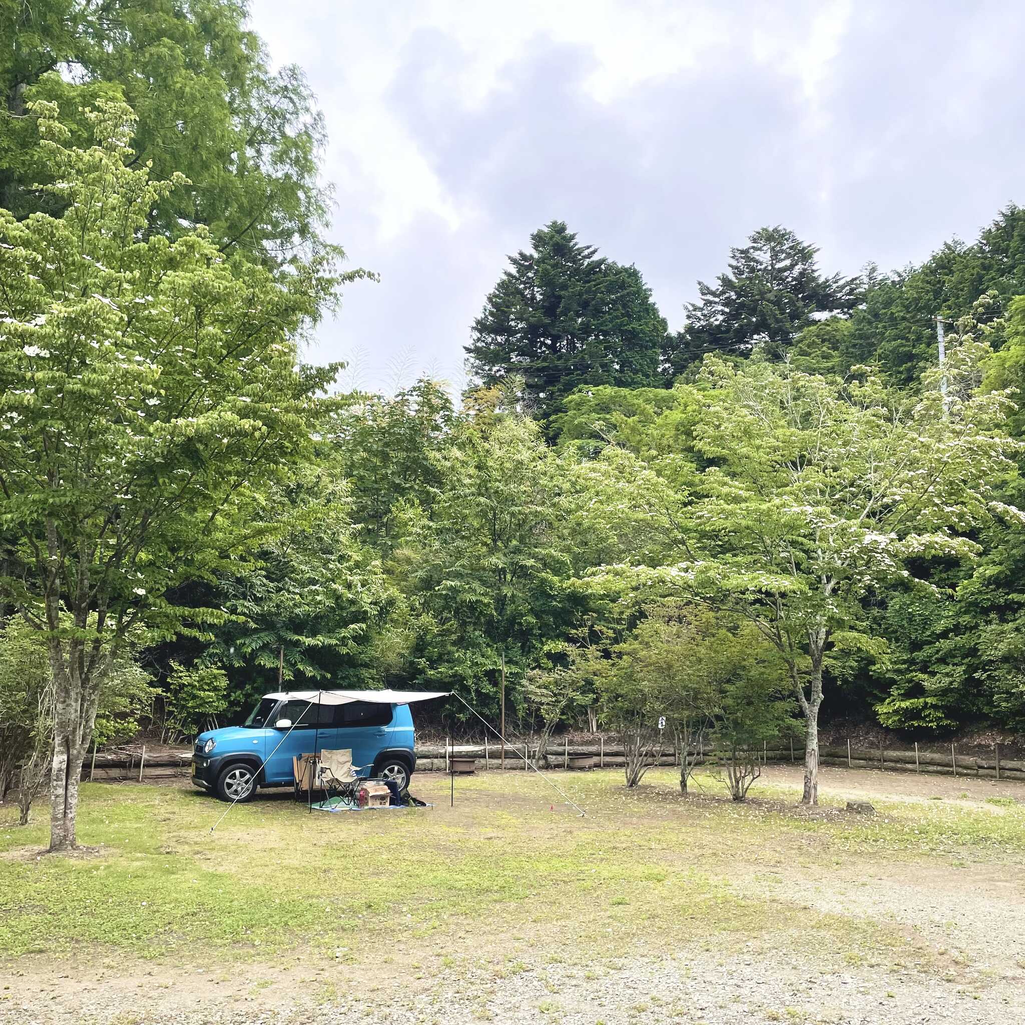 広場サイトの区画