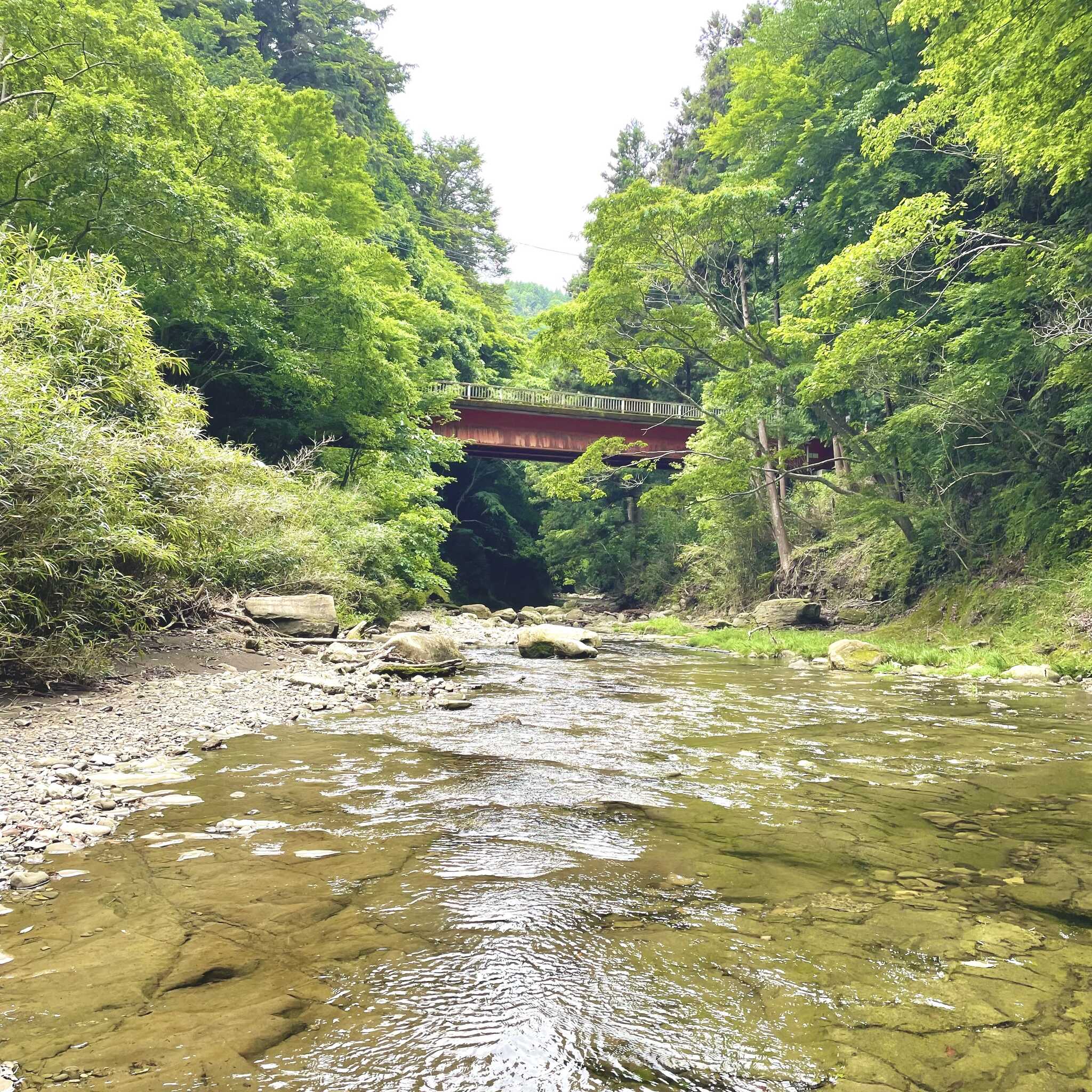 徒歩7分の川