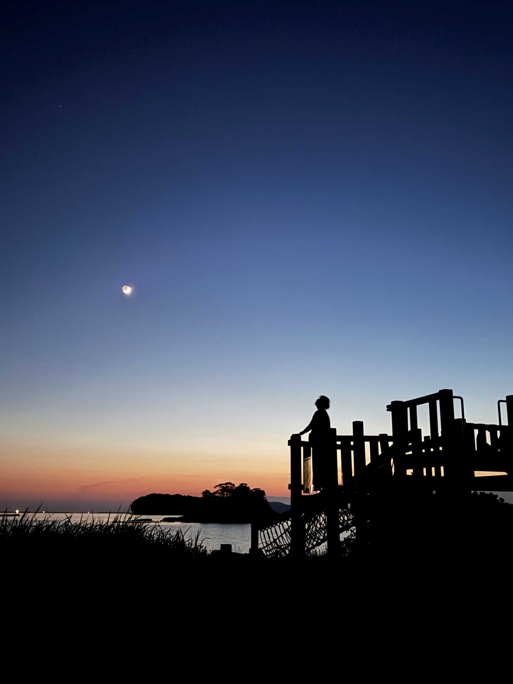 海の夜景