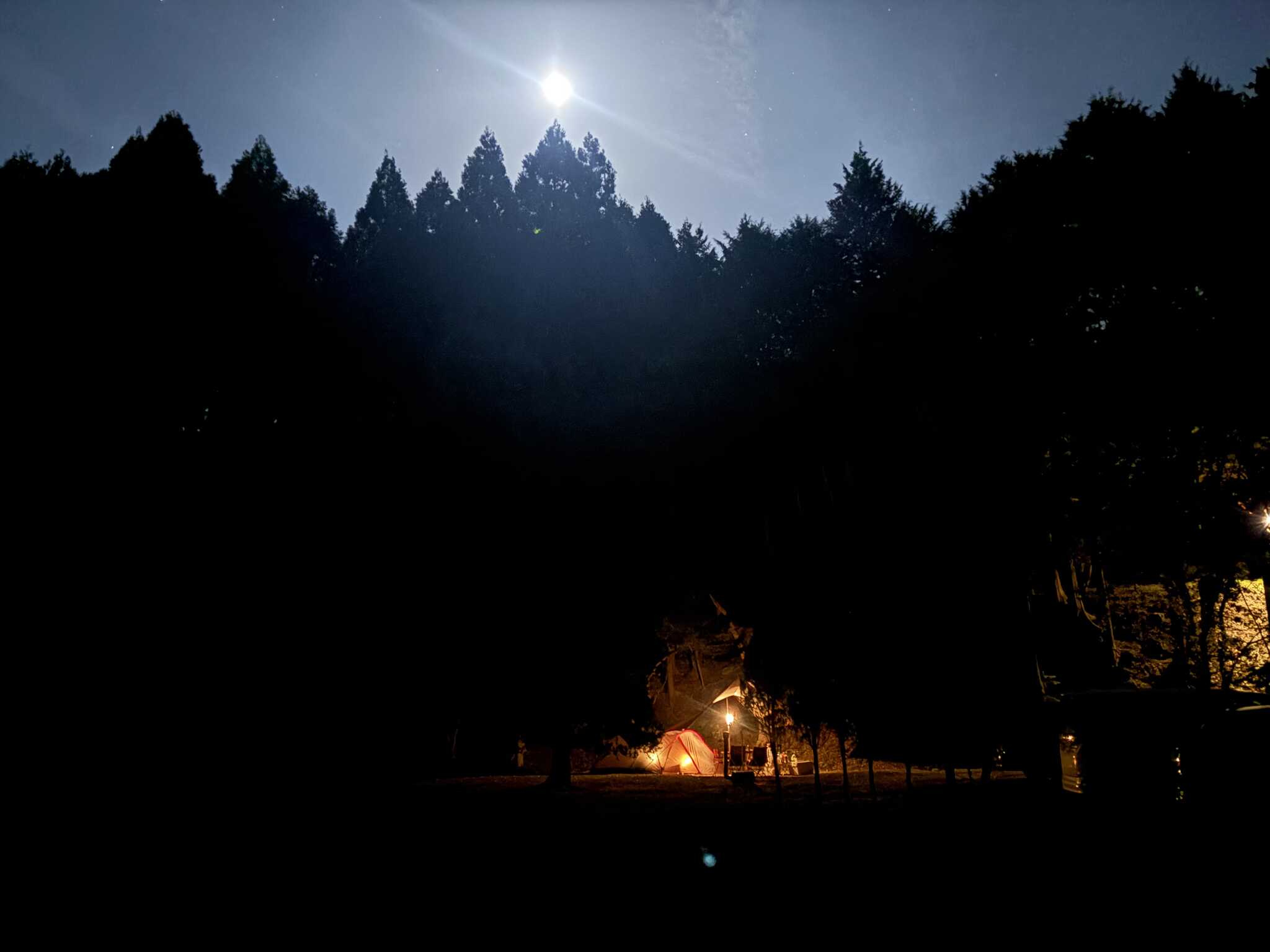 夜空が綺麗