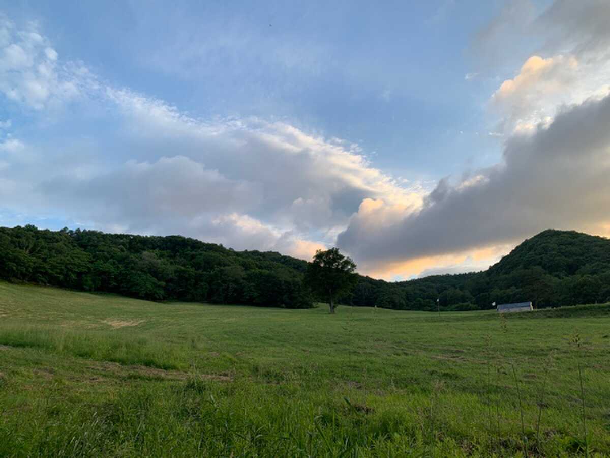 サイト反対側牧草地の夕暮れ
