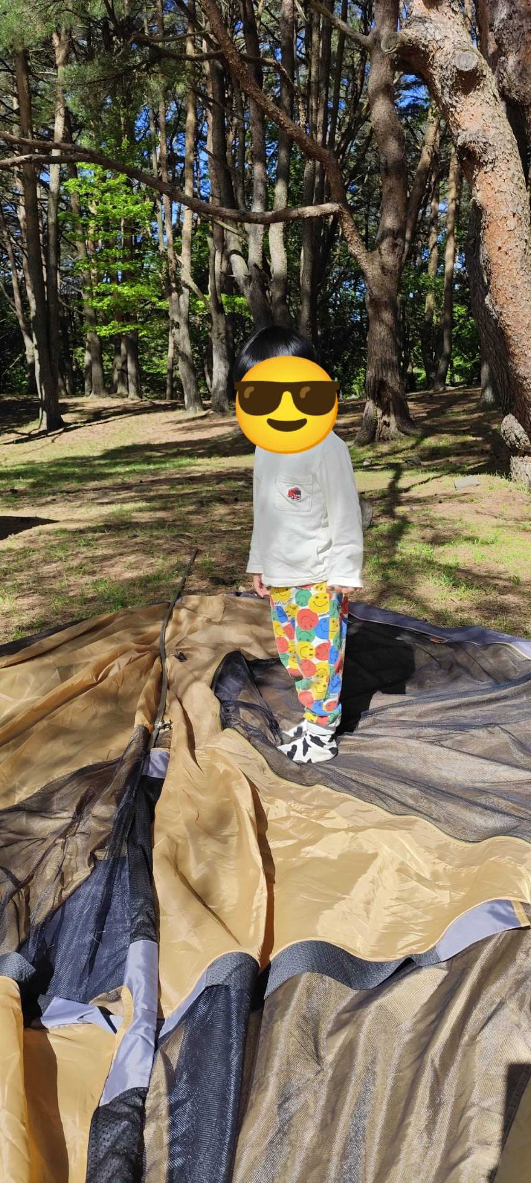 本栖湖キャンプ場の写真 5枚目